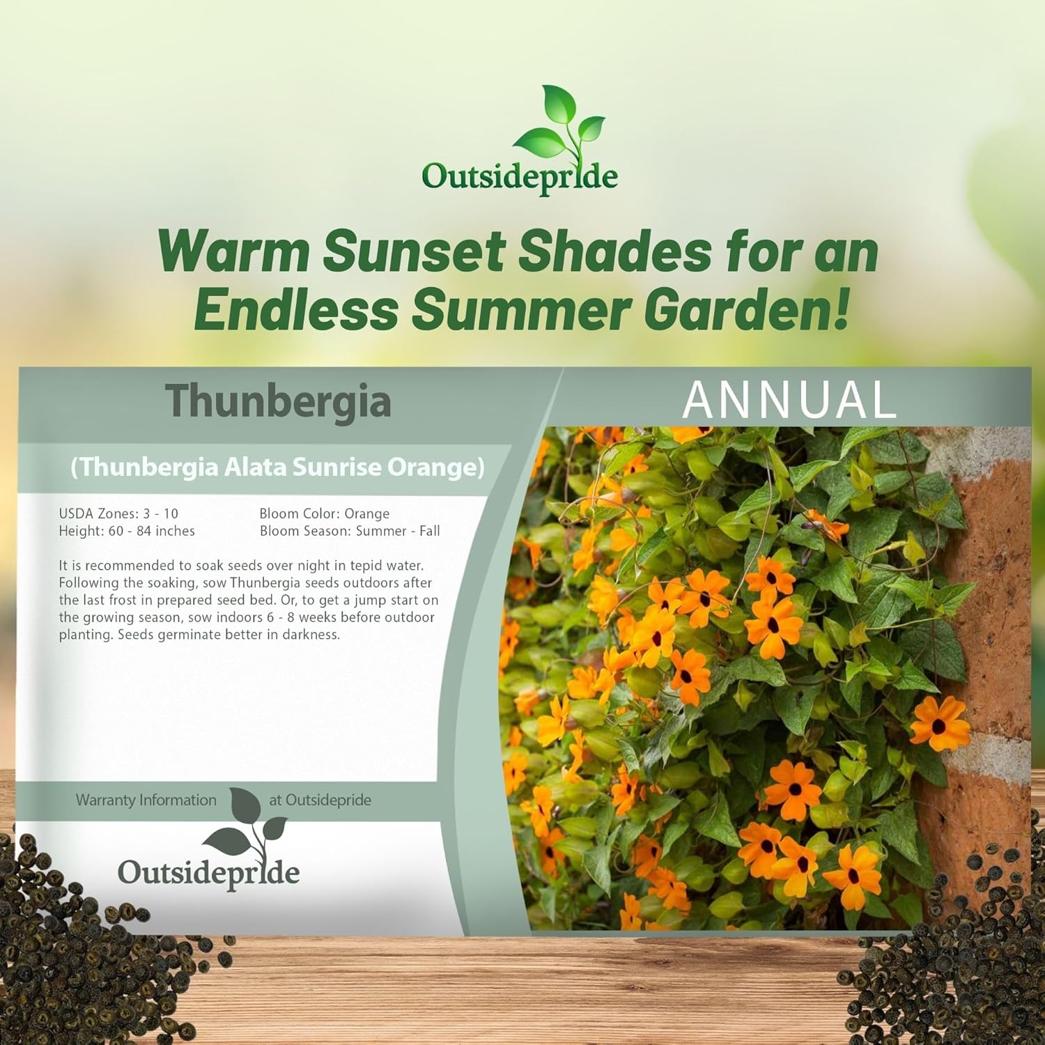 Thunbergia Orange Seed Packet class=