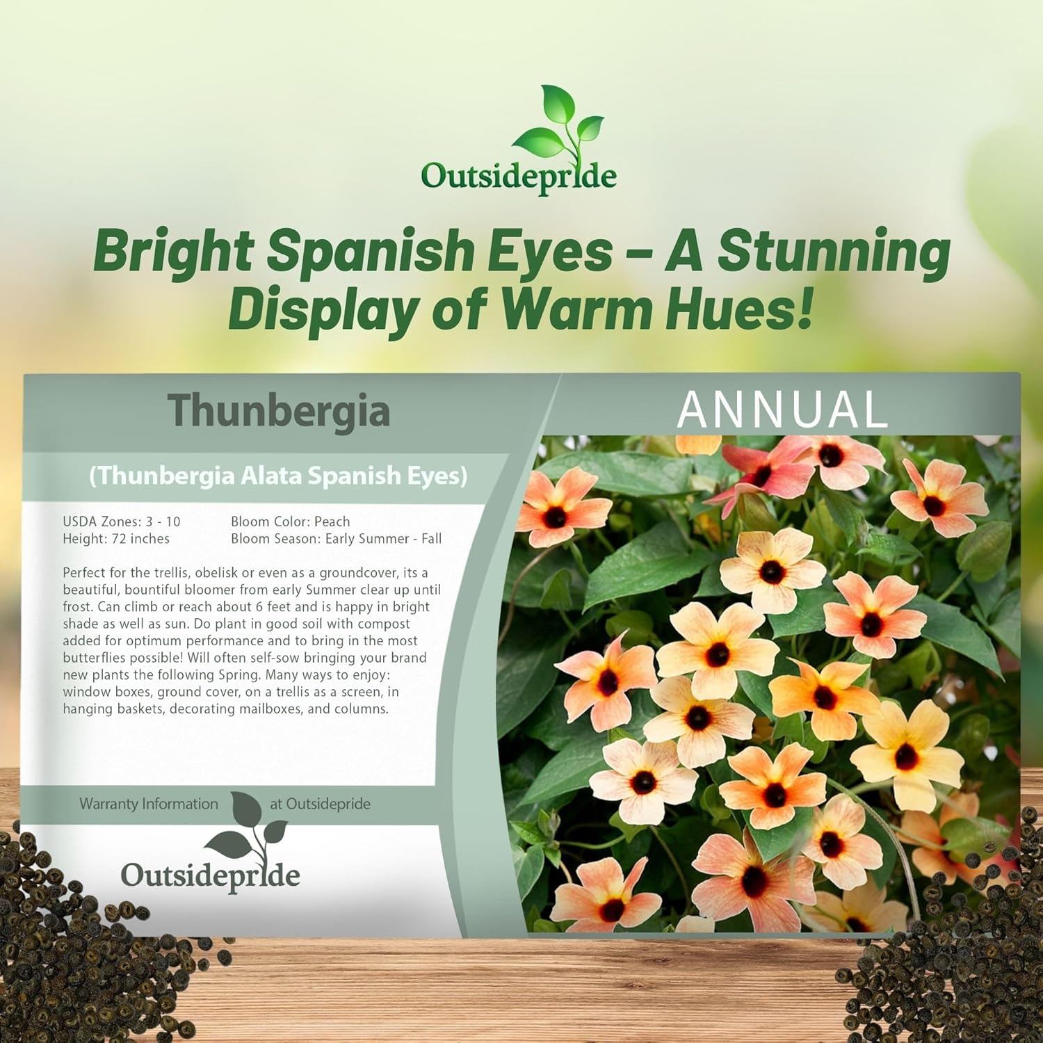 Thunbergia panish Eyes Seed Packet