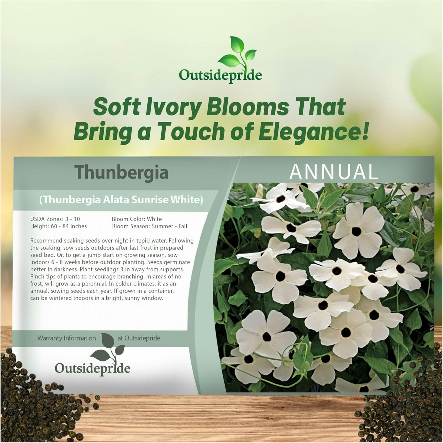 Thunbergia White Flower Seed Packet