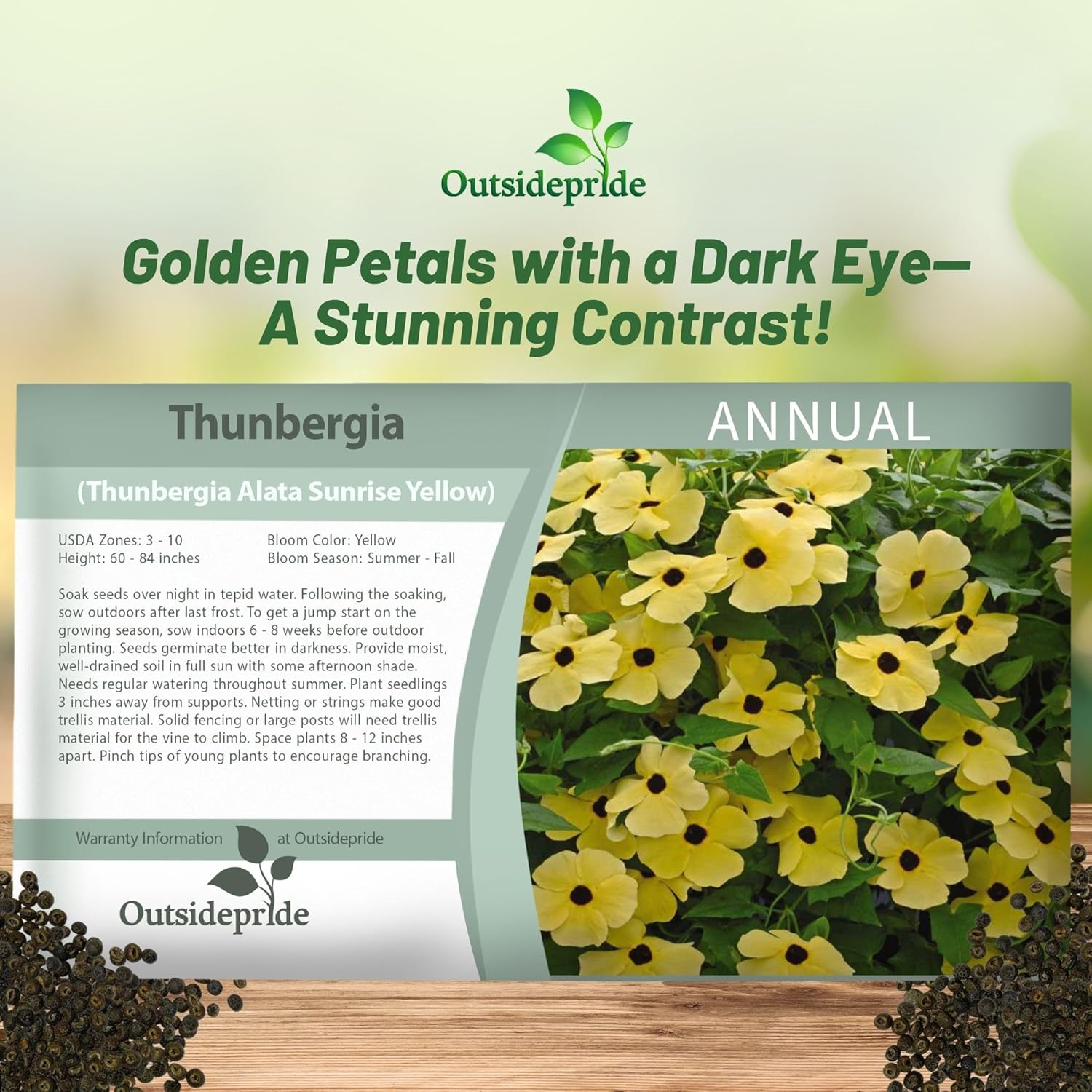 Yellow Thunbergia Seed Packets