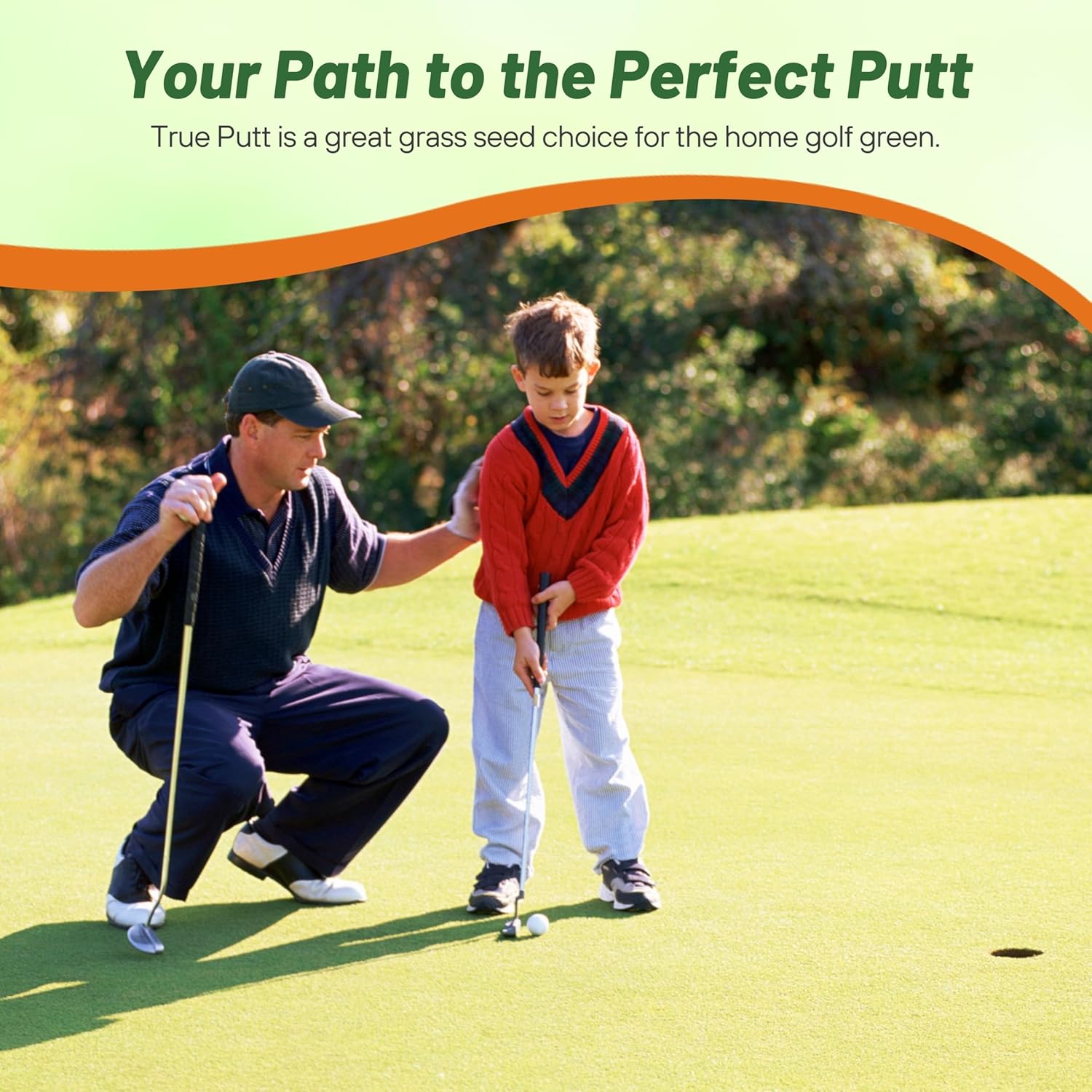 Two Putt Creeping Bluegrass Turf Seed