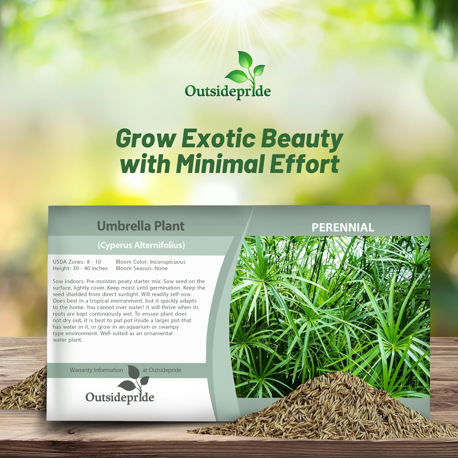 Umbrella Plant Ornamental Grass Seed Packet