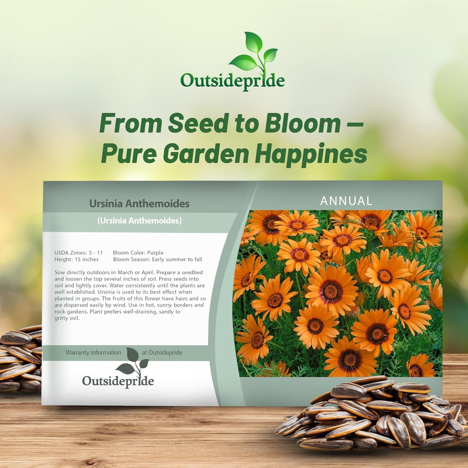 Ursinia Flower Seed Packet