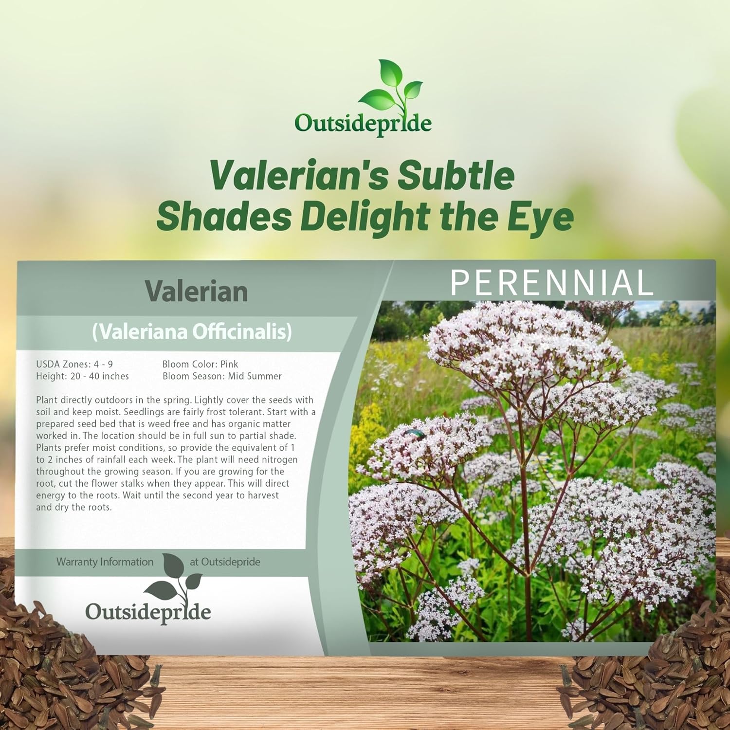 Valerian Herb Seed Packet