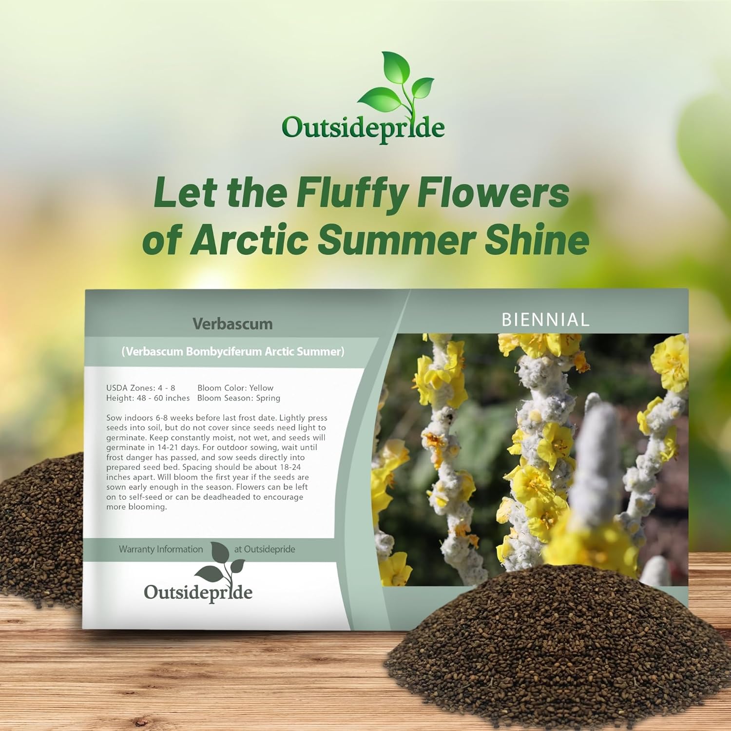 Verbascum Arctic Summer Flower Seed Packet