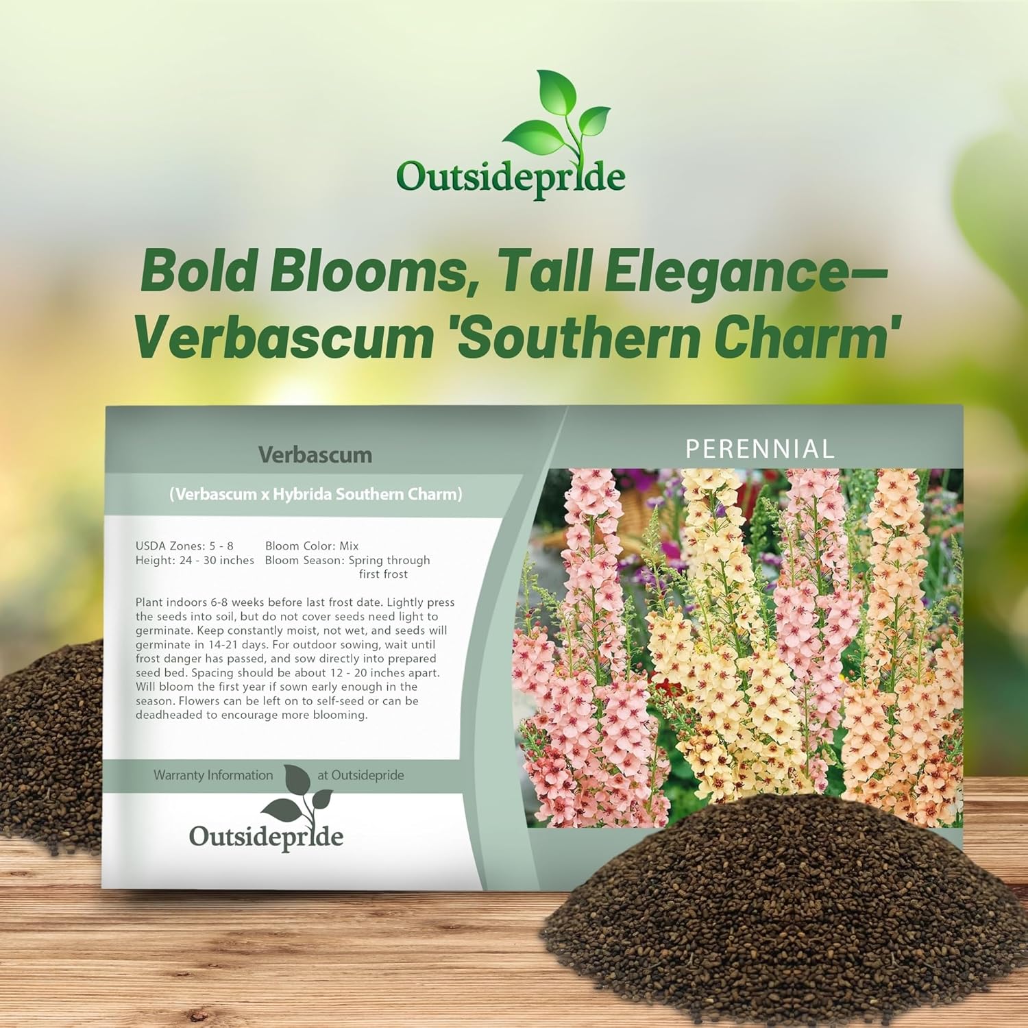 Verbascum Southern Charm Flower Seed Packet