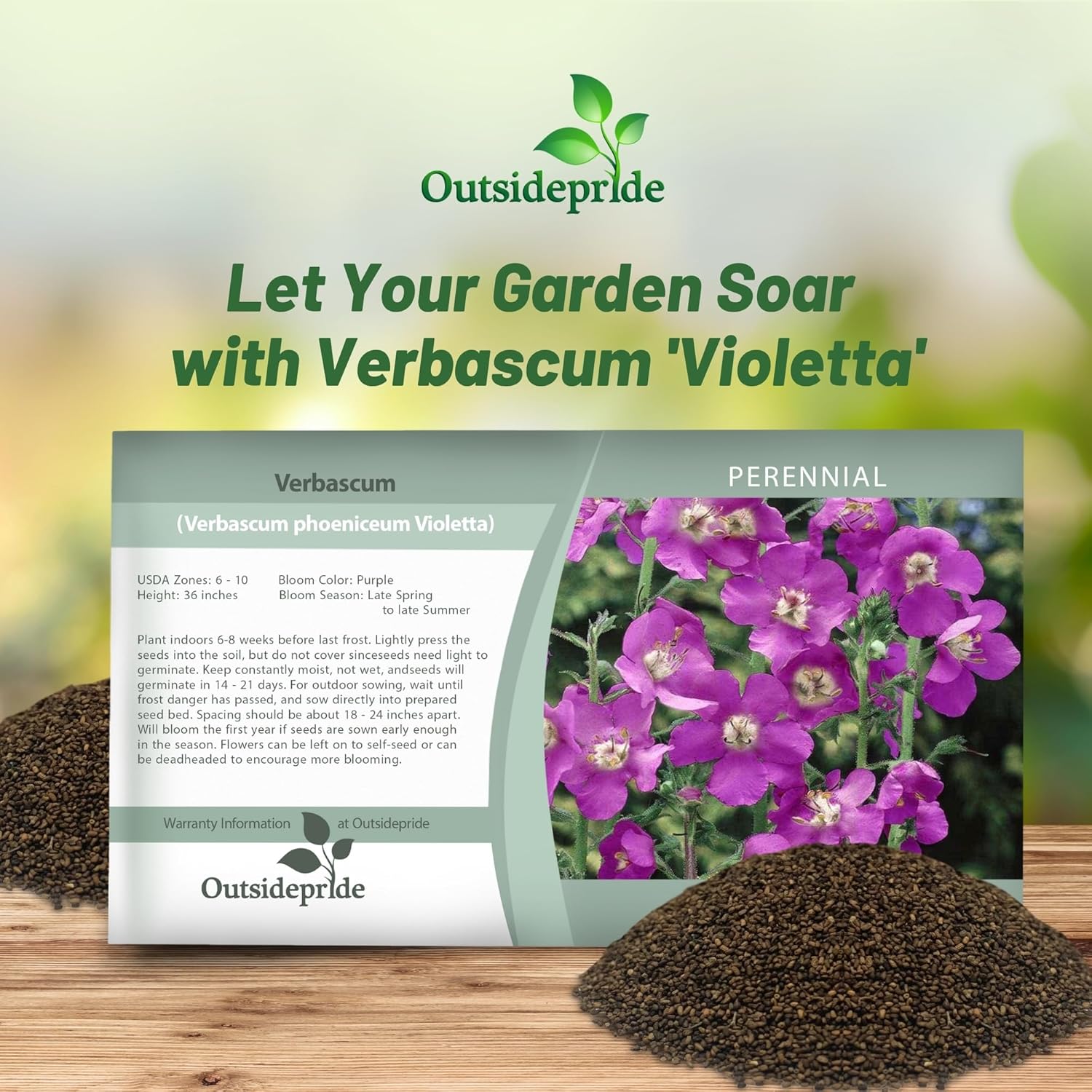 Verbascum Violetta Flower Seed Packet