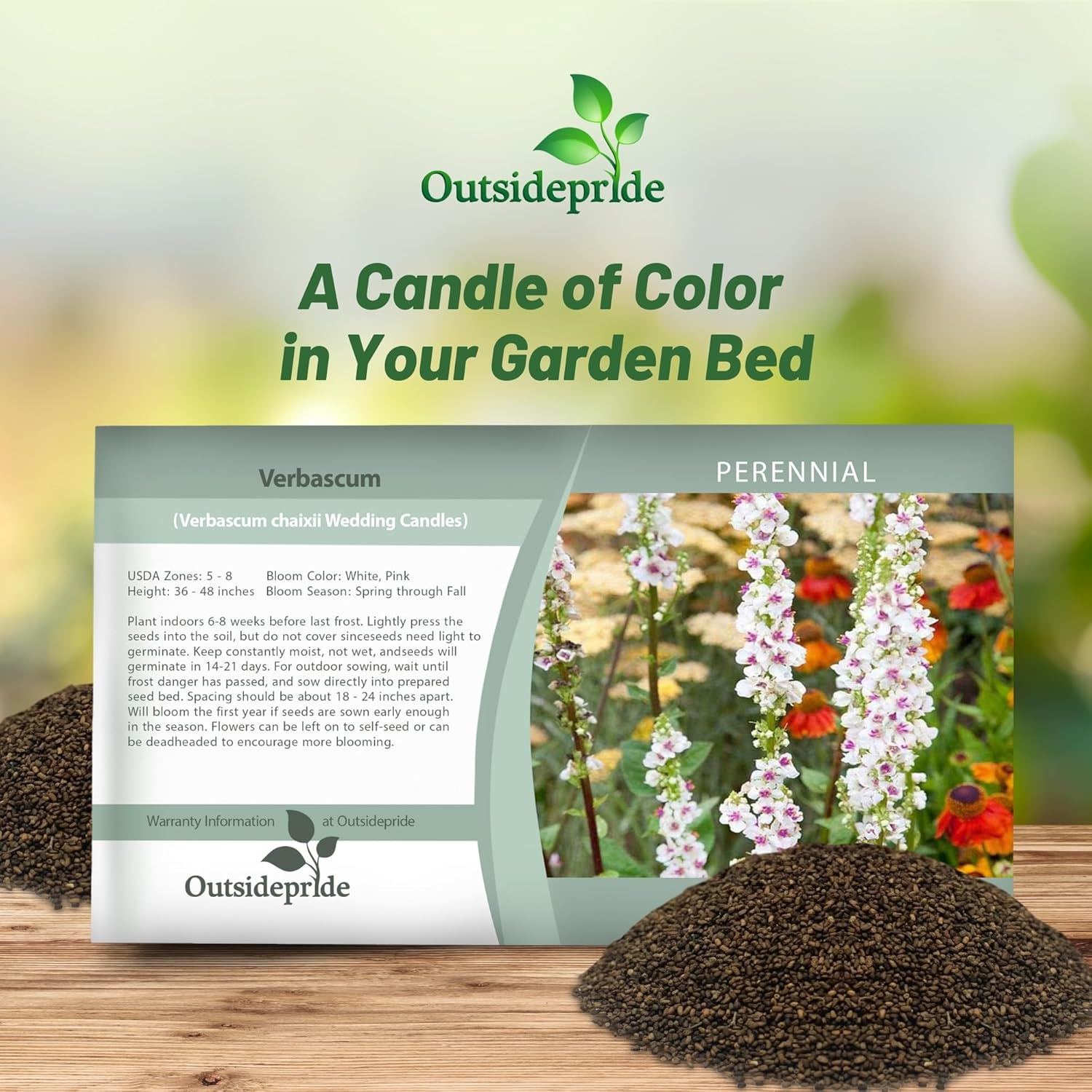 Verbascum Wedding Candles Flower Seed Packet