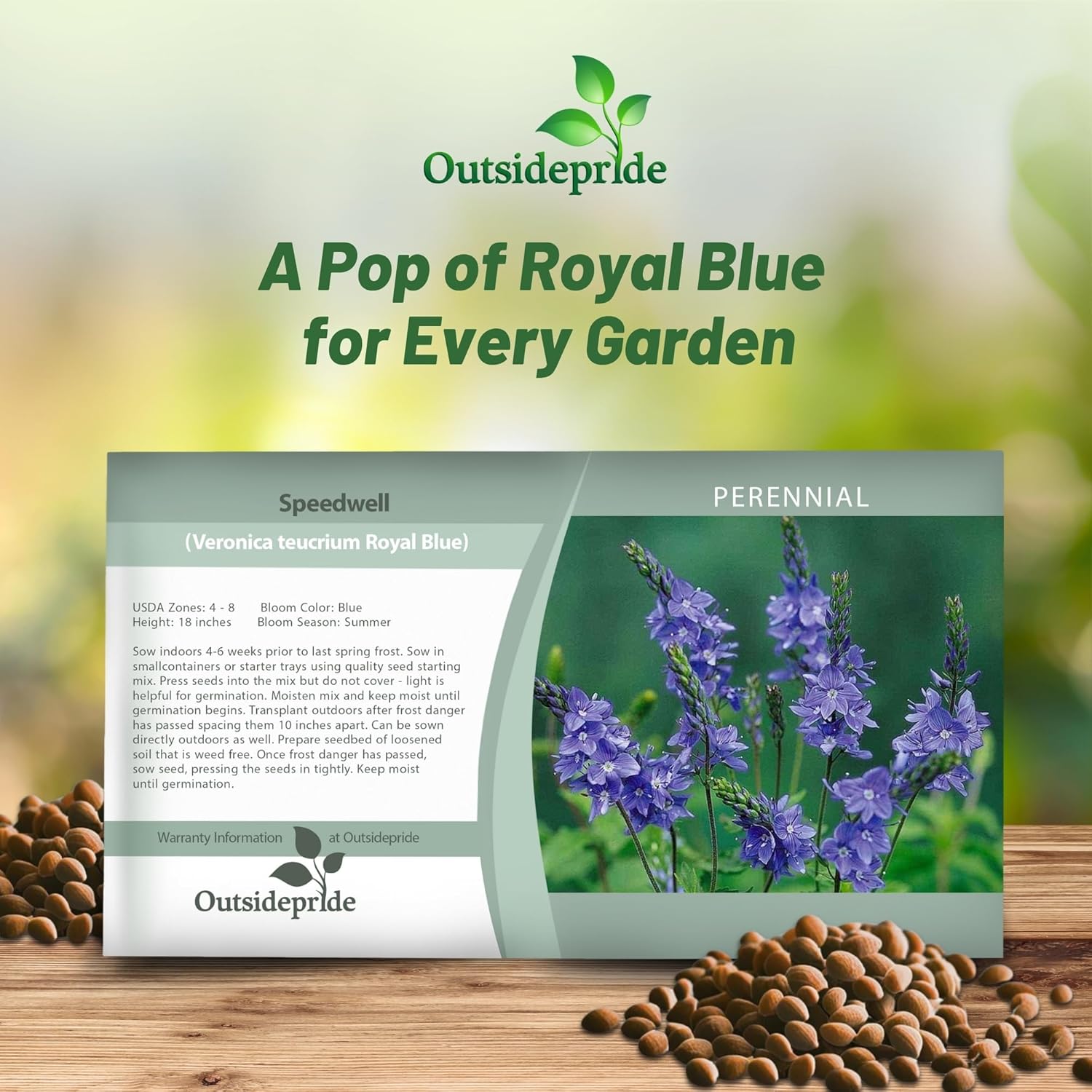 Veronica Royal Blue Seed Packet