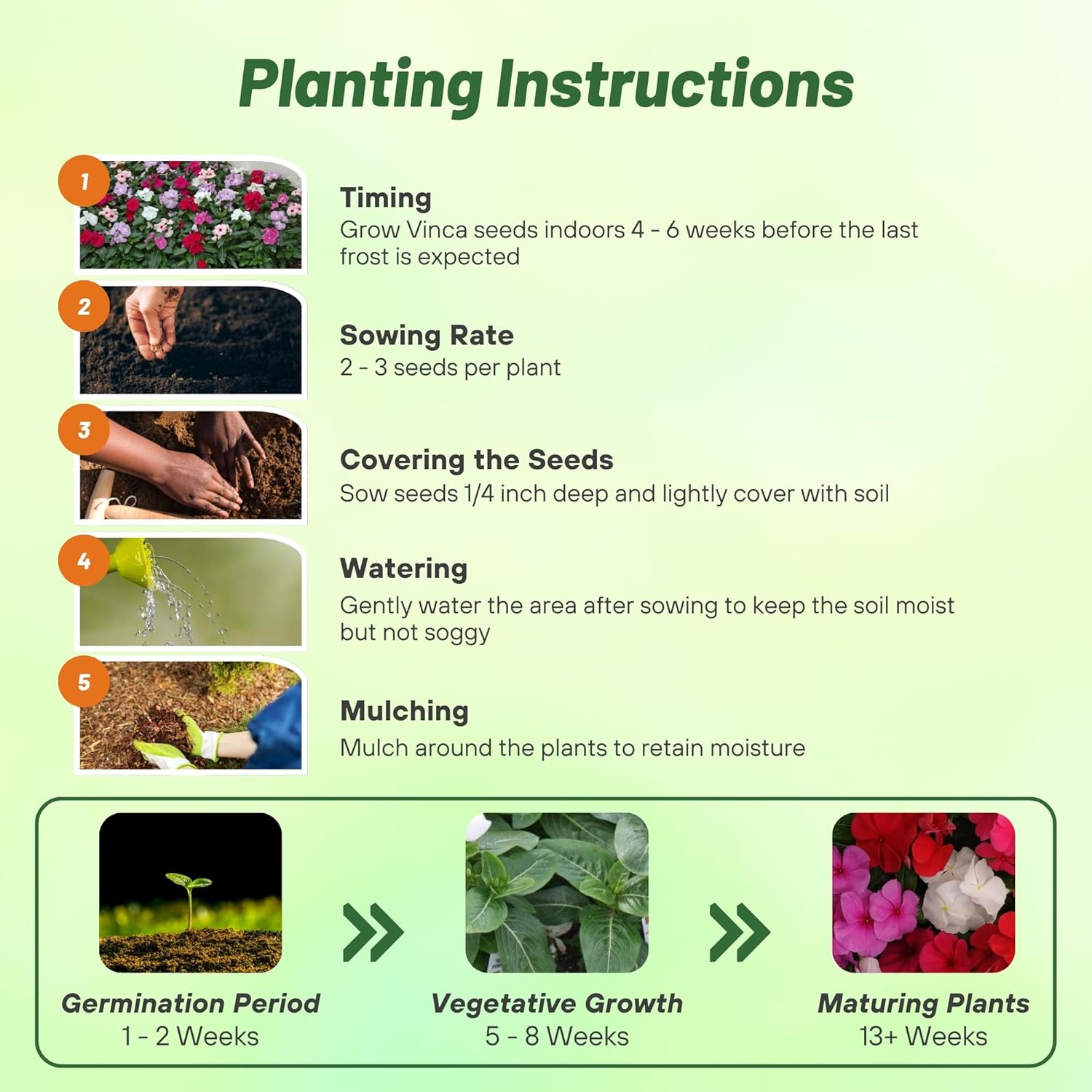 Vinca Titan Seed Clear Planting Directions