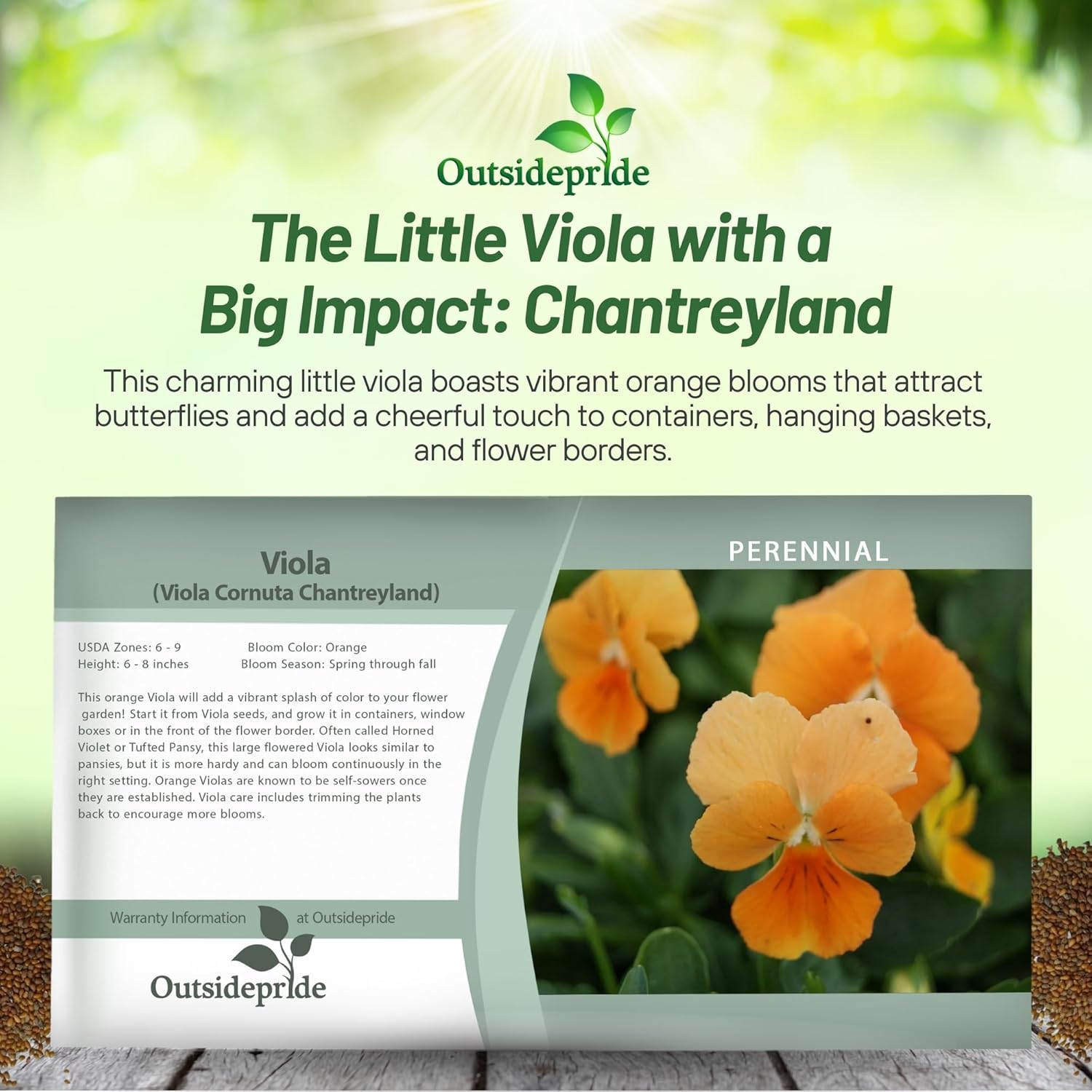 Viola Cornuta Large Chantreyland Seed Packet