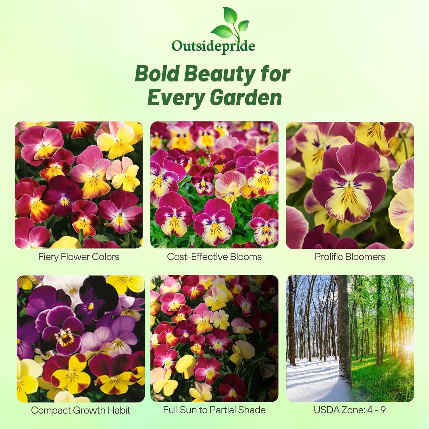 Viola Fire Shades Flower Seed Mix