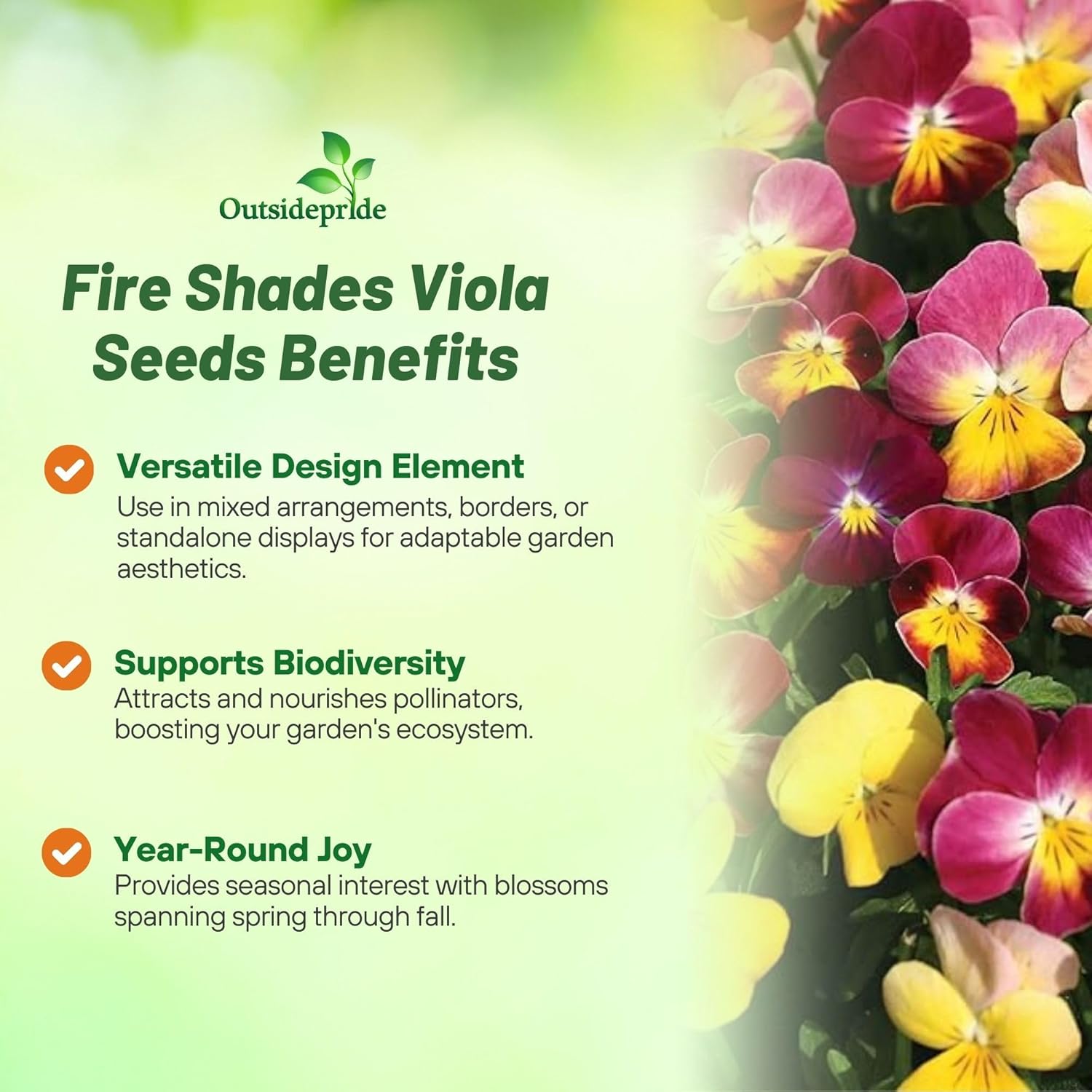 Viola Fire Shades Seed Mix