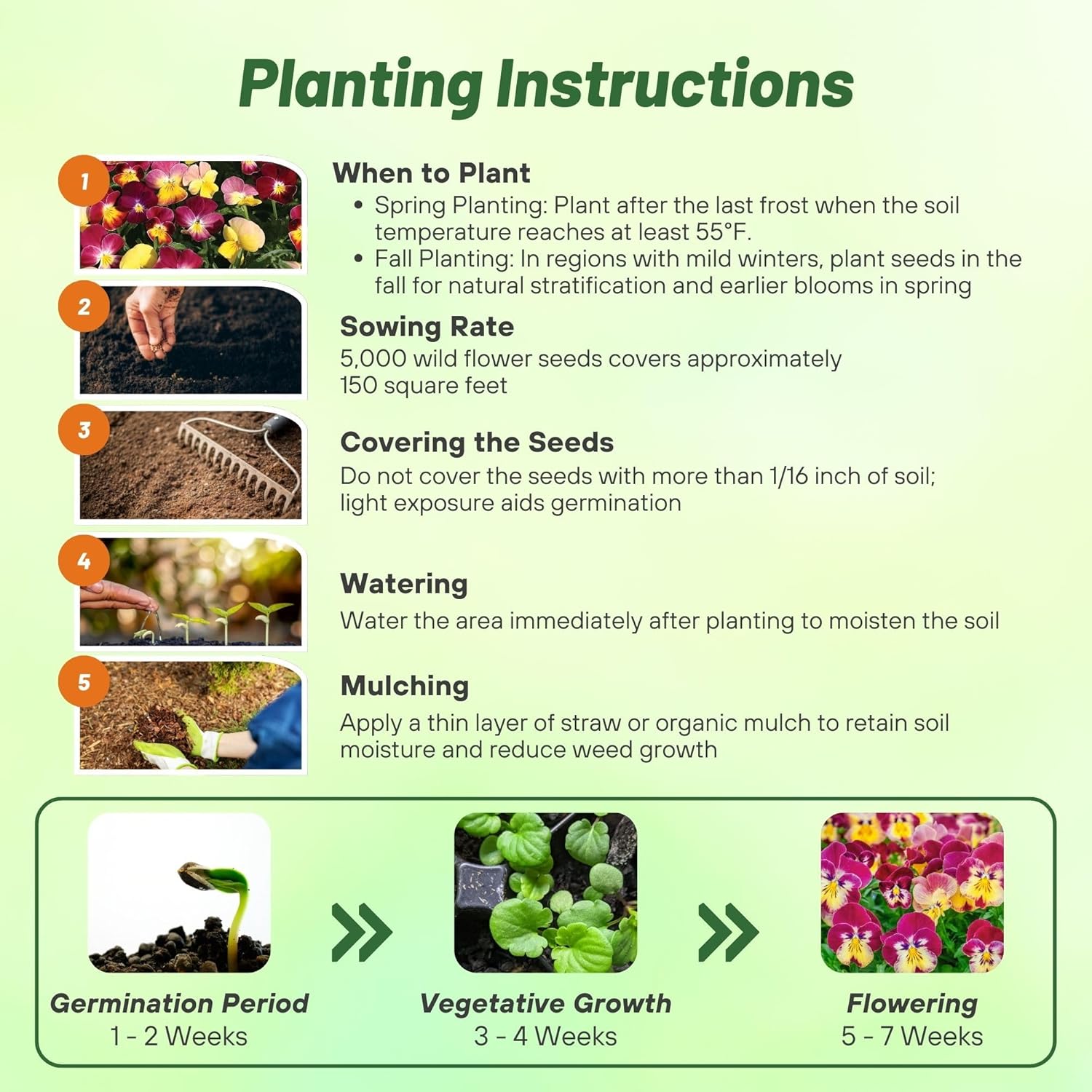 Viola Fire Shades Planting Directions