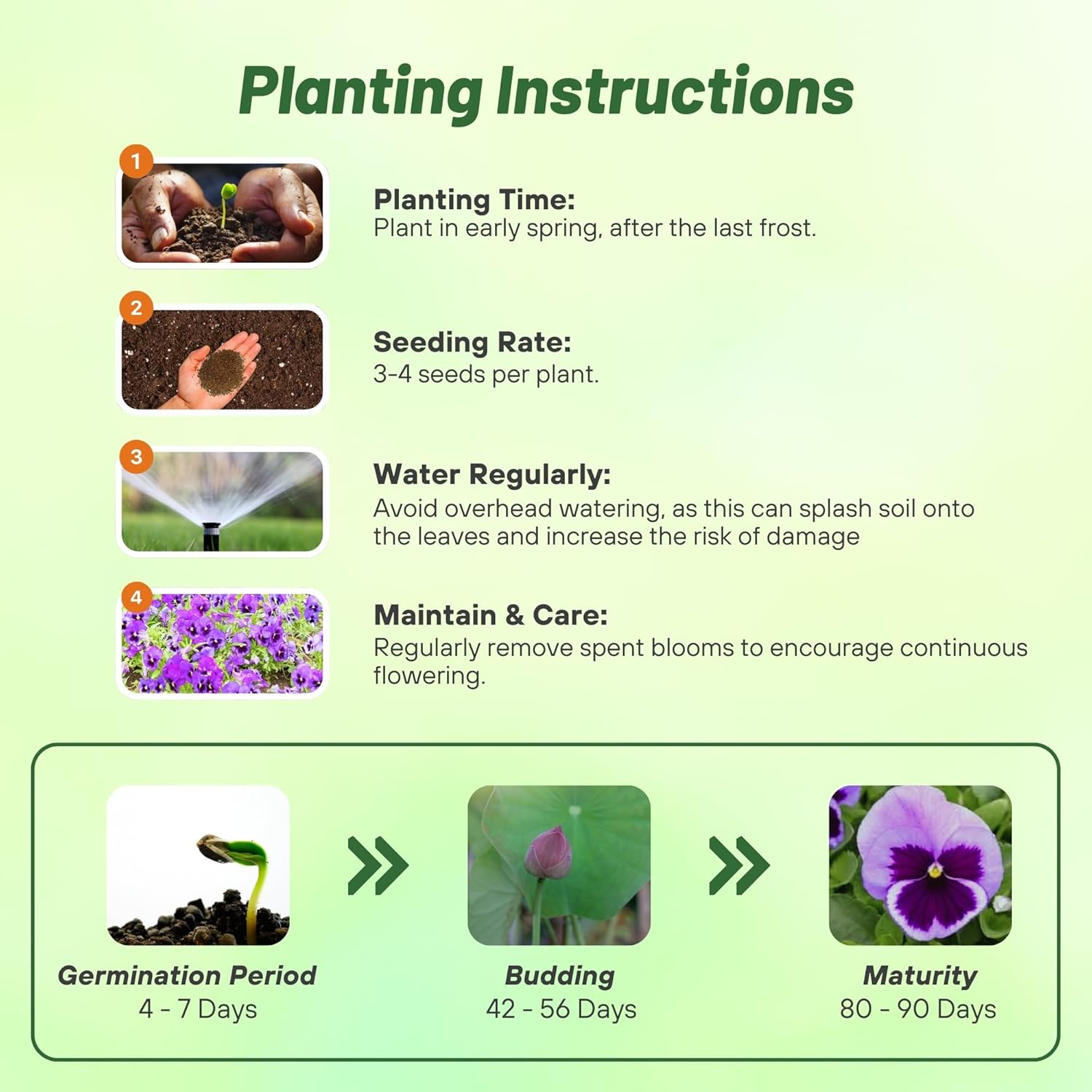 Pansy Matrix Ocean Planting Directions
