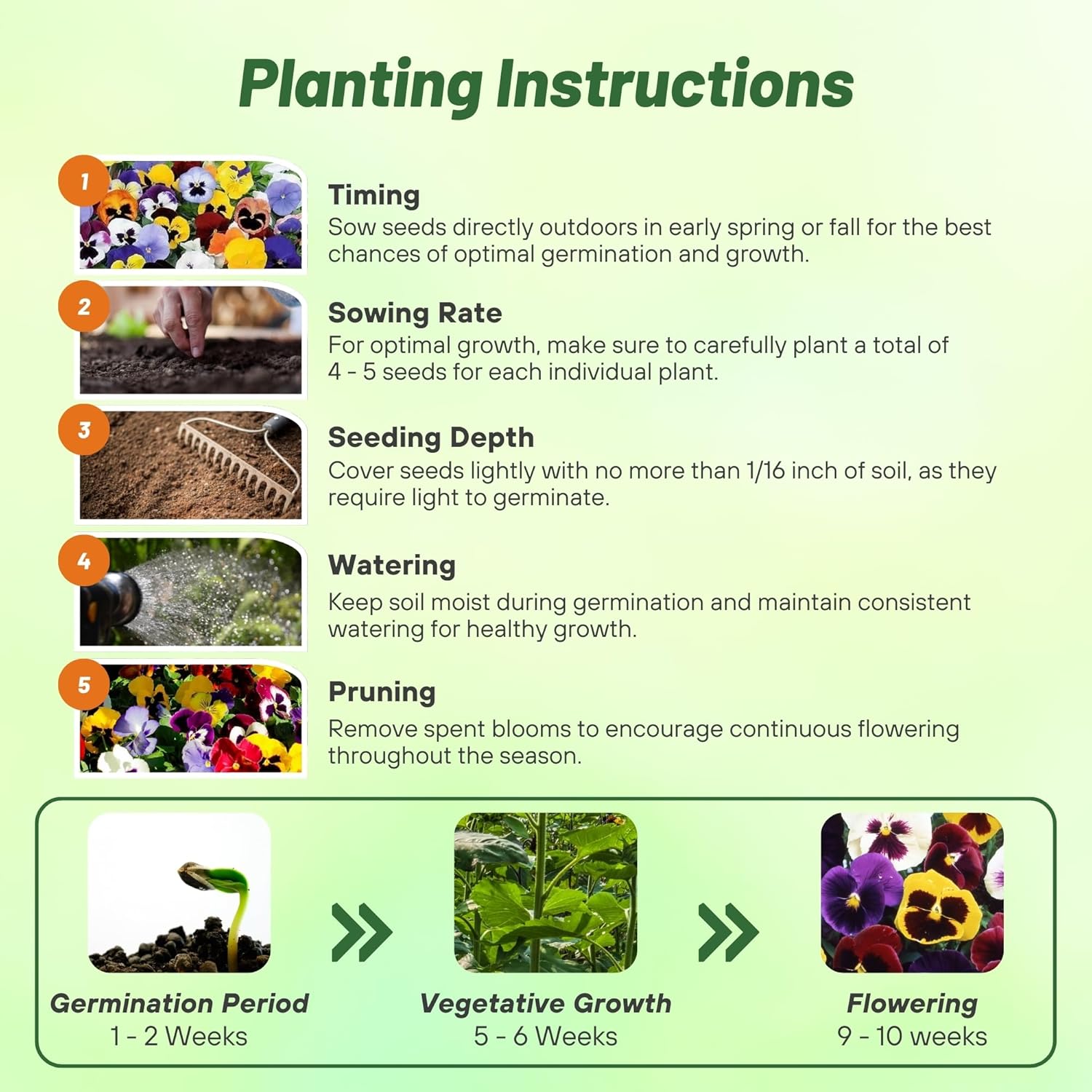 Viola Tricolor St. Ravel Planting Directions