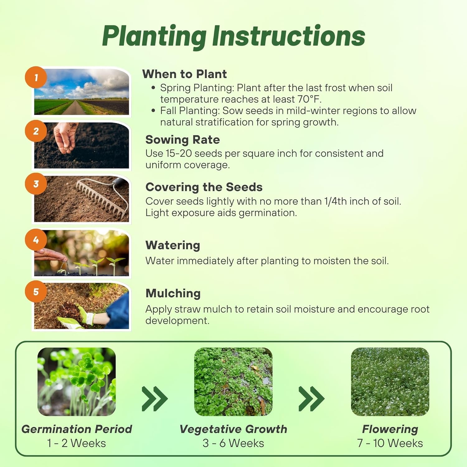 Watercress Seed Planting Directions