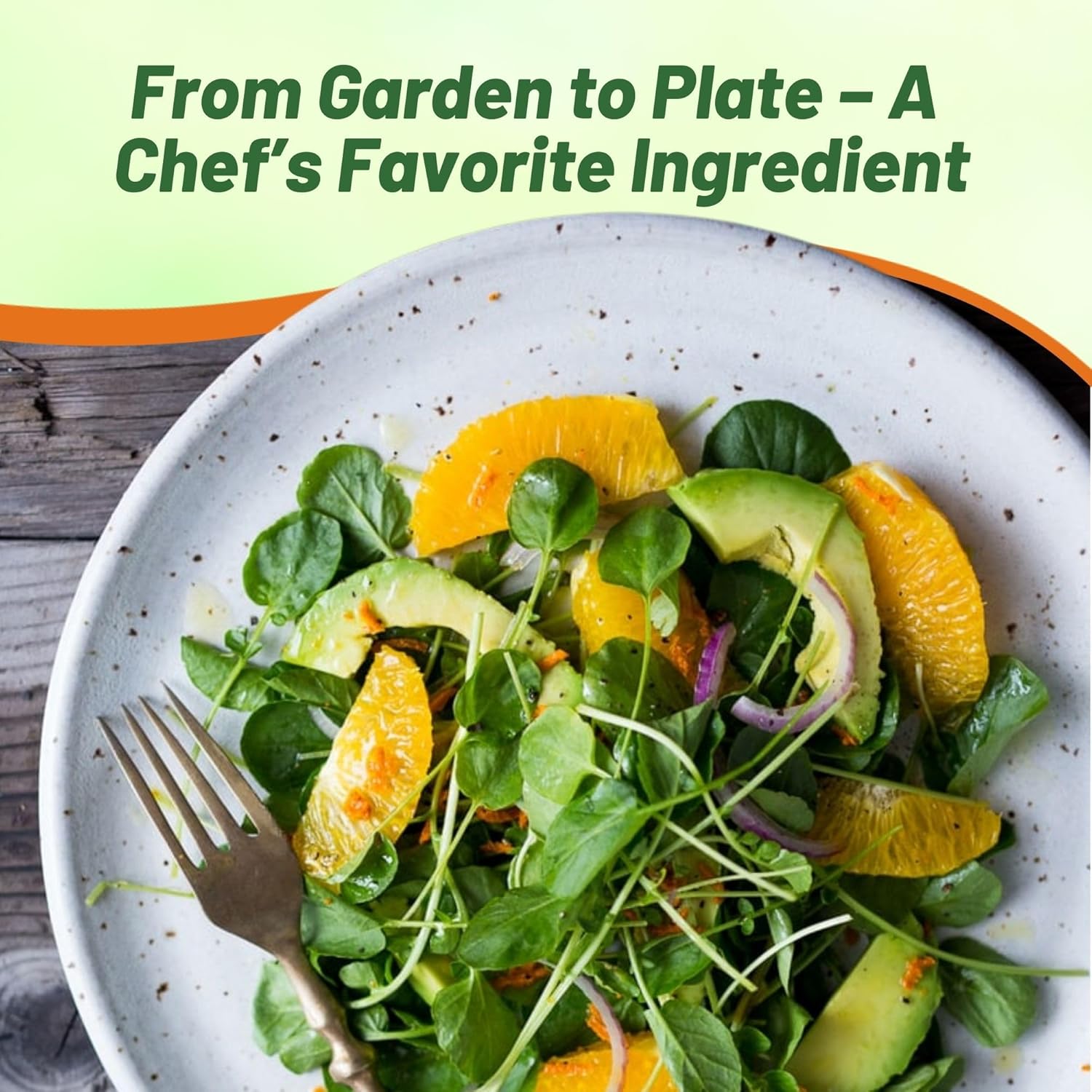Watercress For Culinary Uses