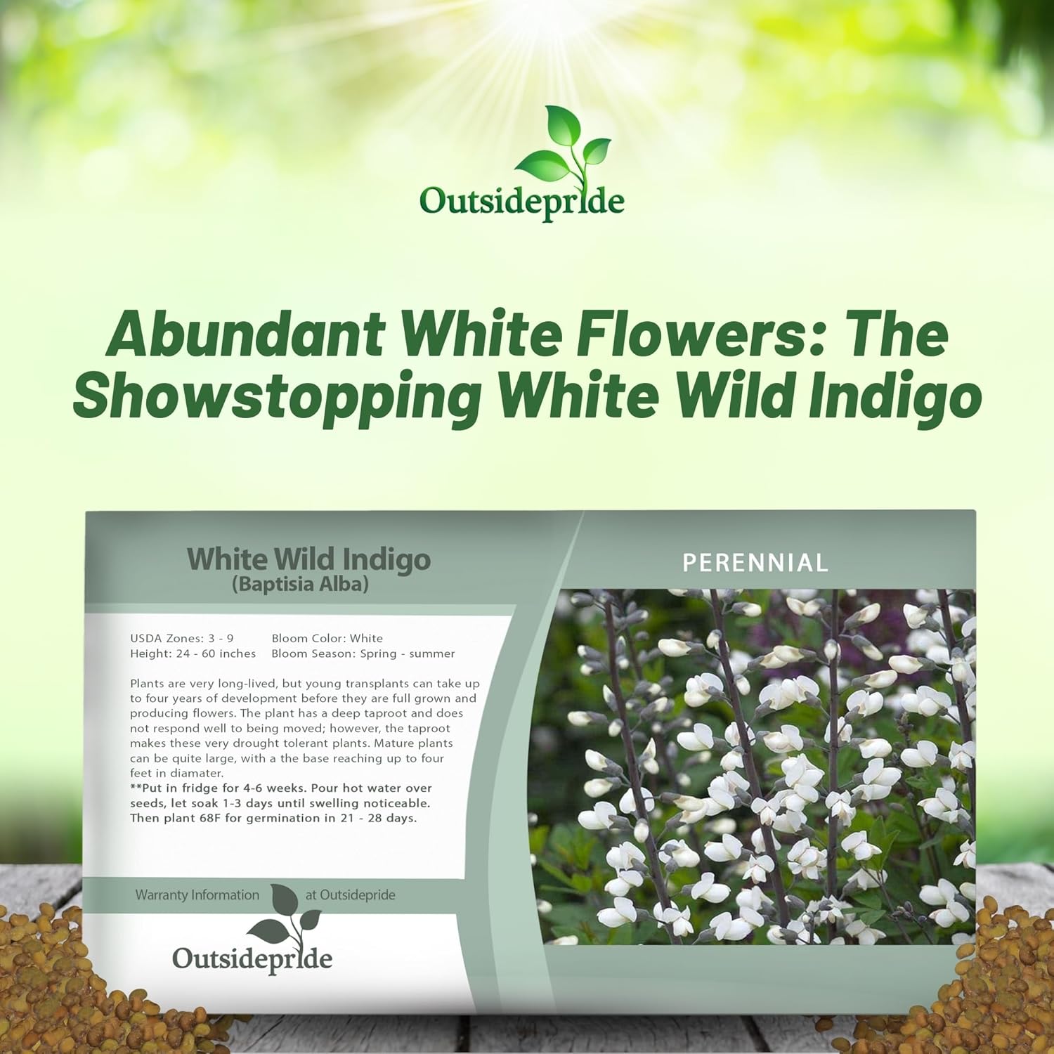 White Wild Indigo Seed Packet For Planting