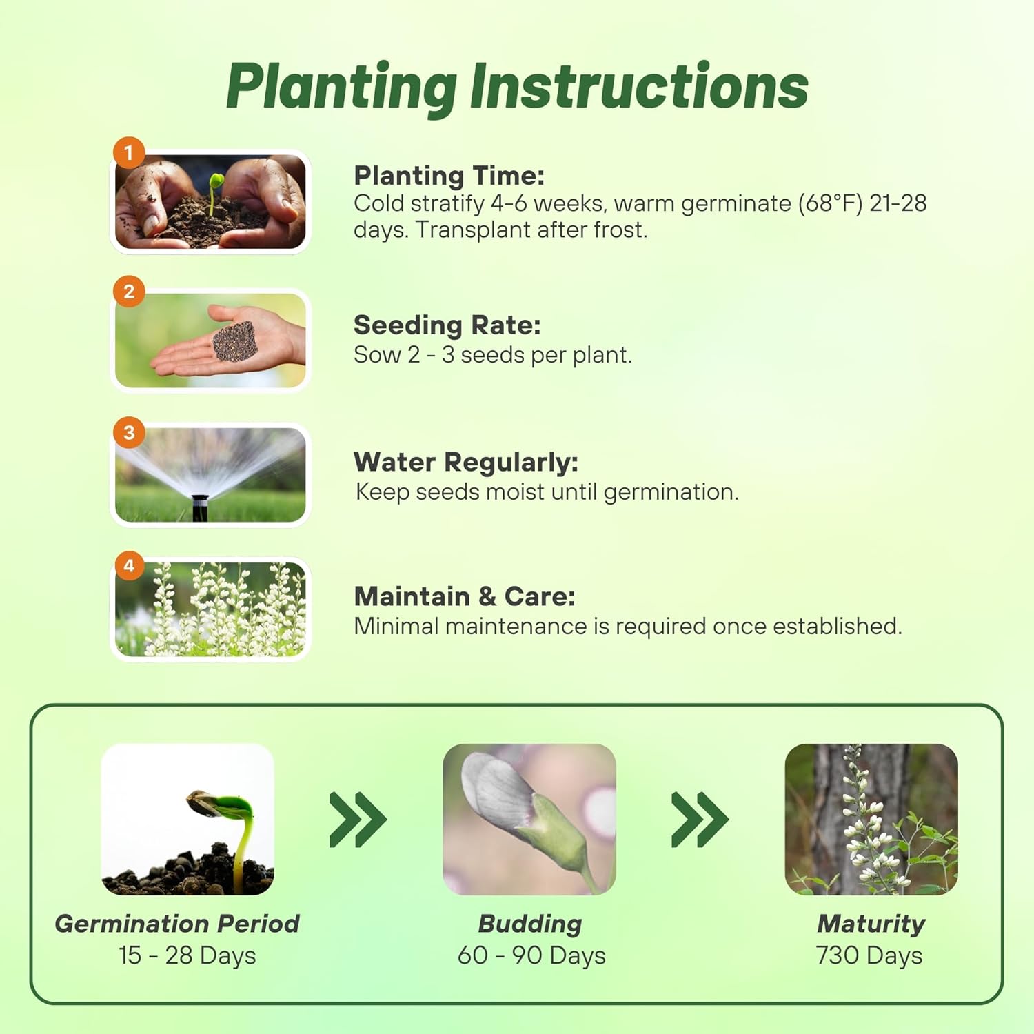 White Wild Indigo Planting Directions