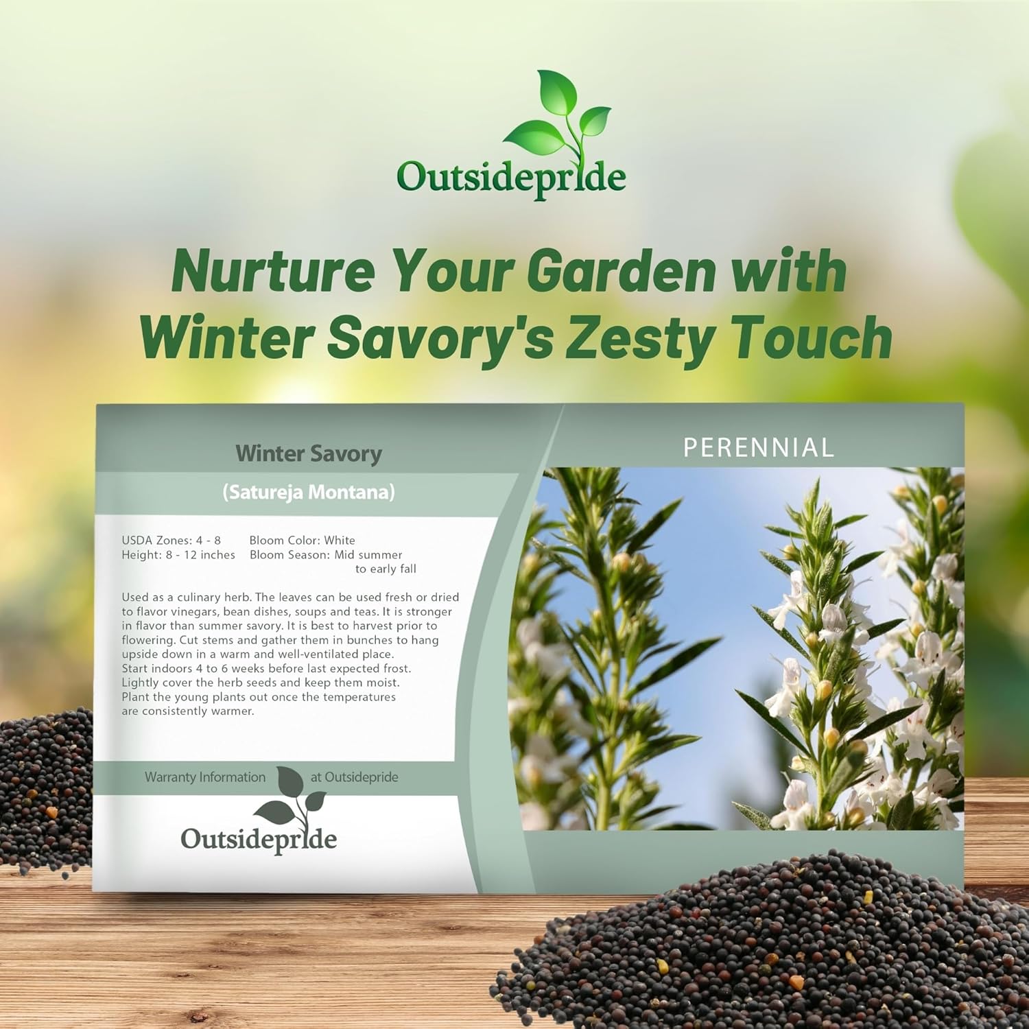 Winter Savory Herb Seed Packet