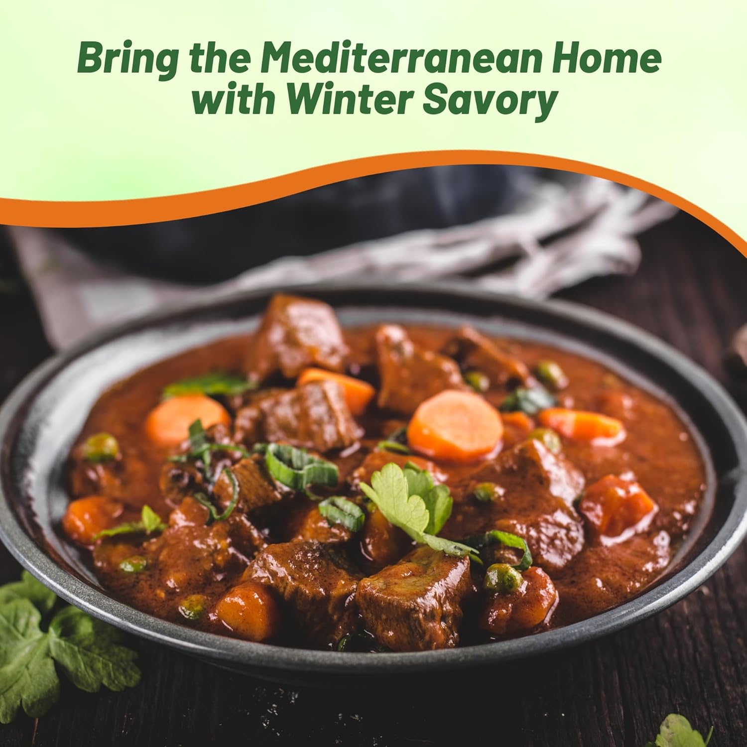 Winter Savory Culinary Herb Garden Plant