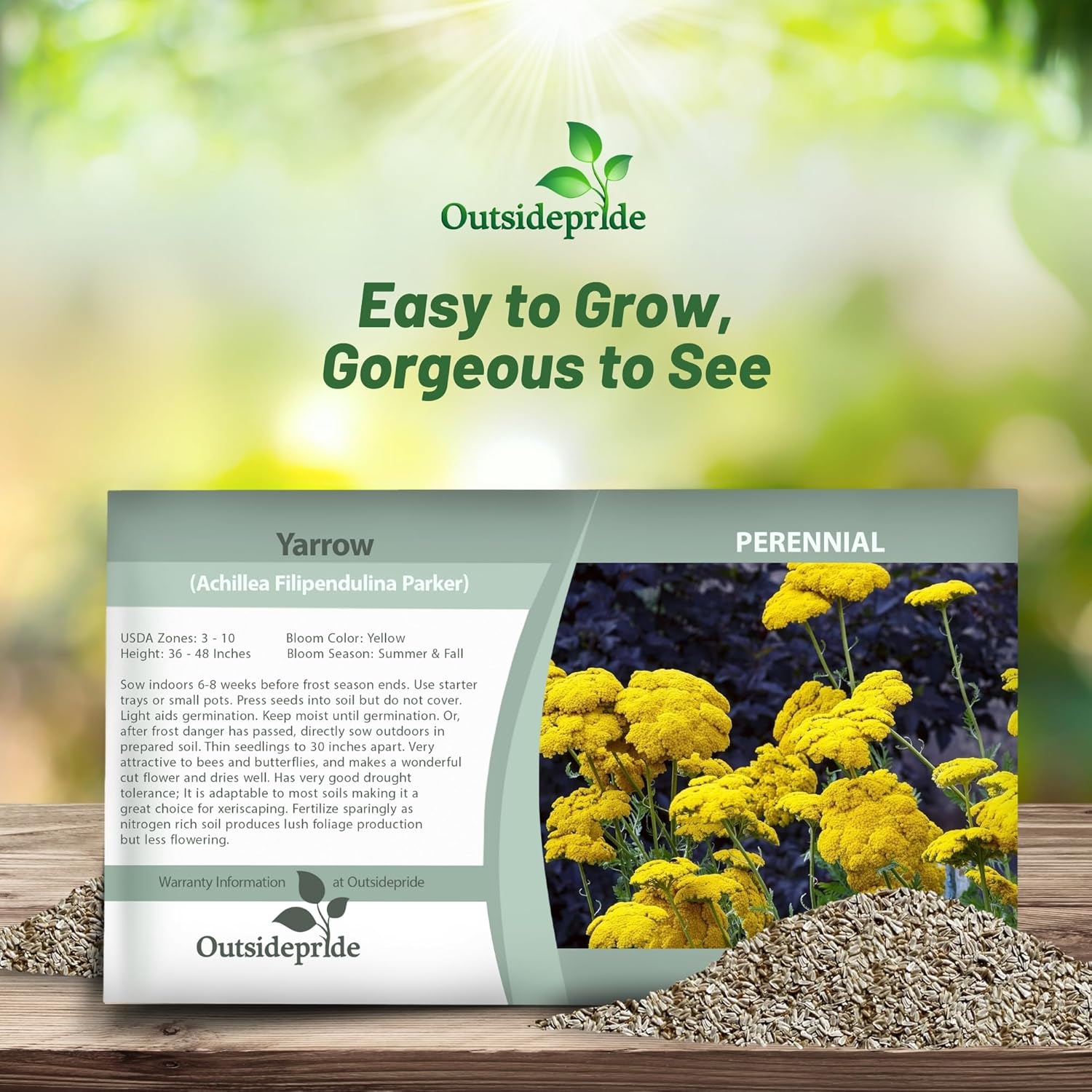 Perennial Yellow Yarrow Parker Seed Packet