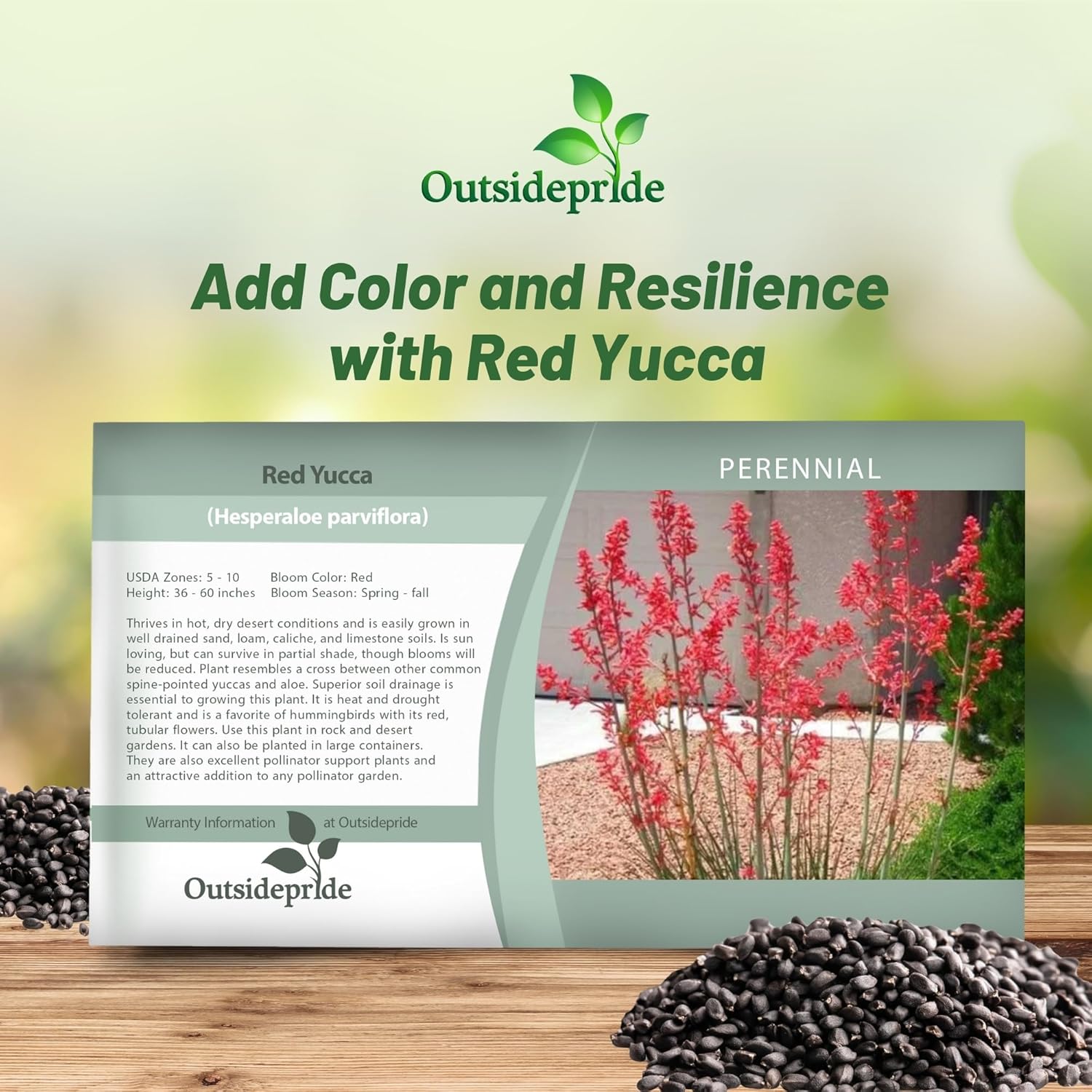 Red Yucca Ornamental Seed Seed Packet