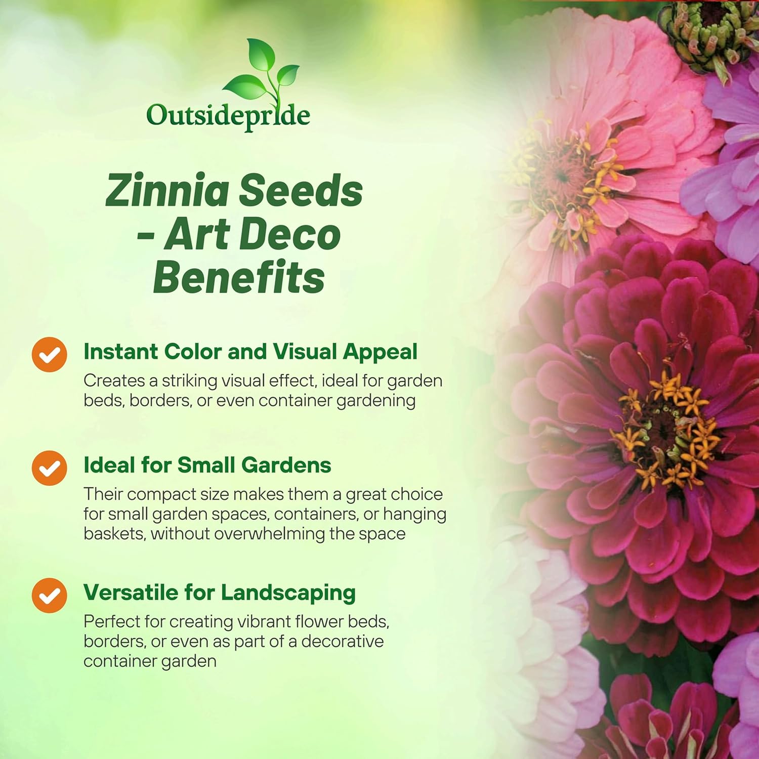 Zinnia Art Deco Garden Flowers