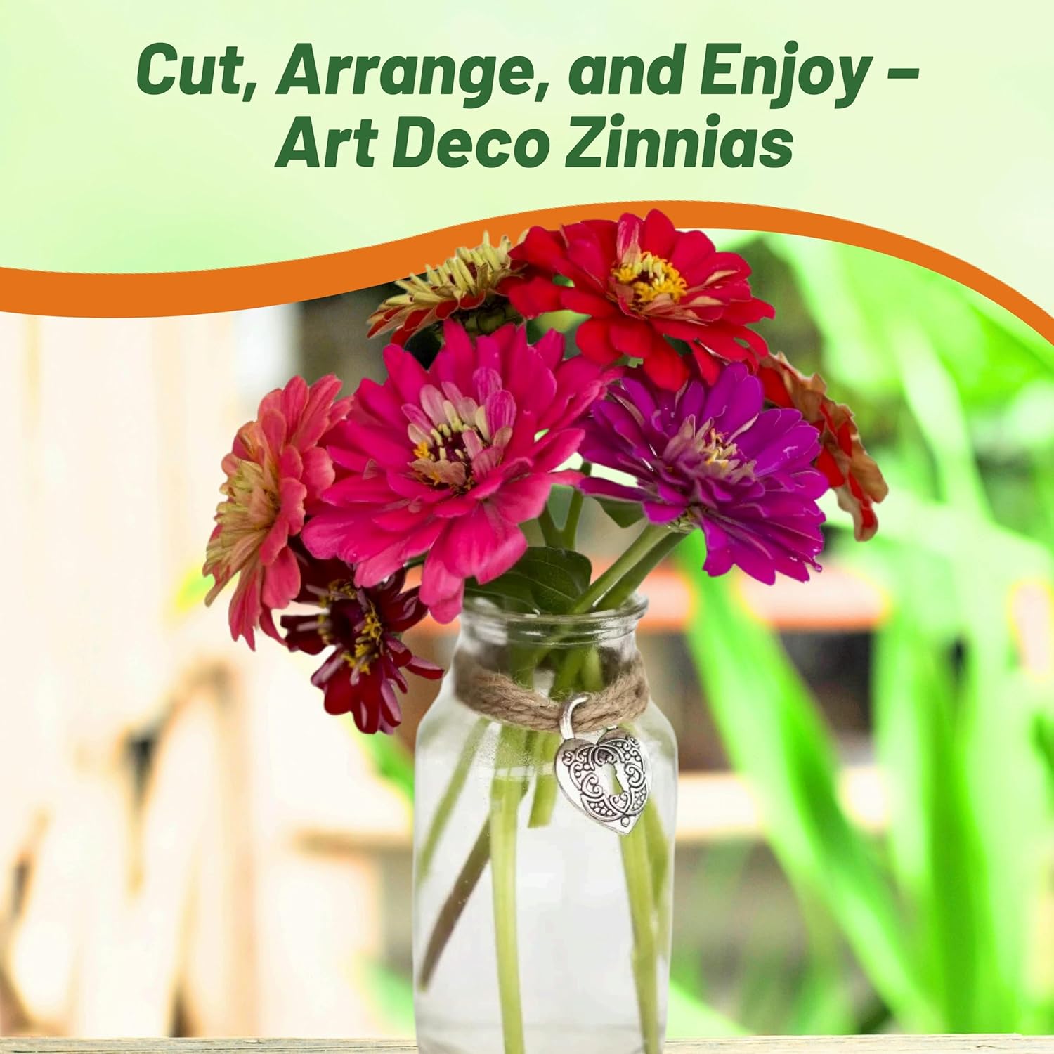 Zinnia Art Deco Garden Plant Mix