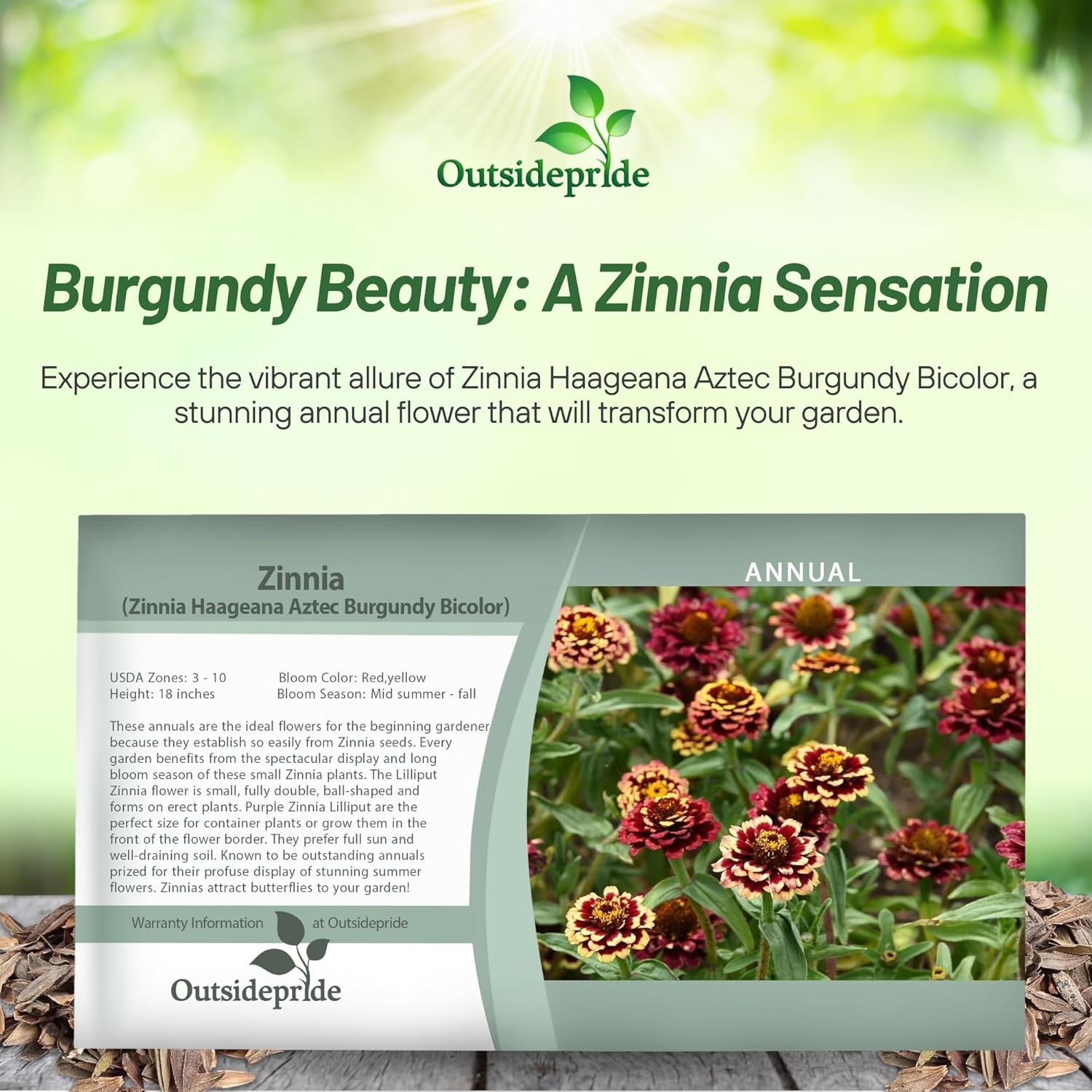 Zinnia Elegans Aztec Burgundy Seed Packet