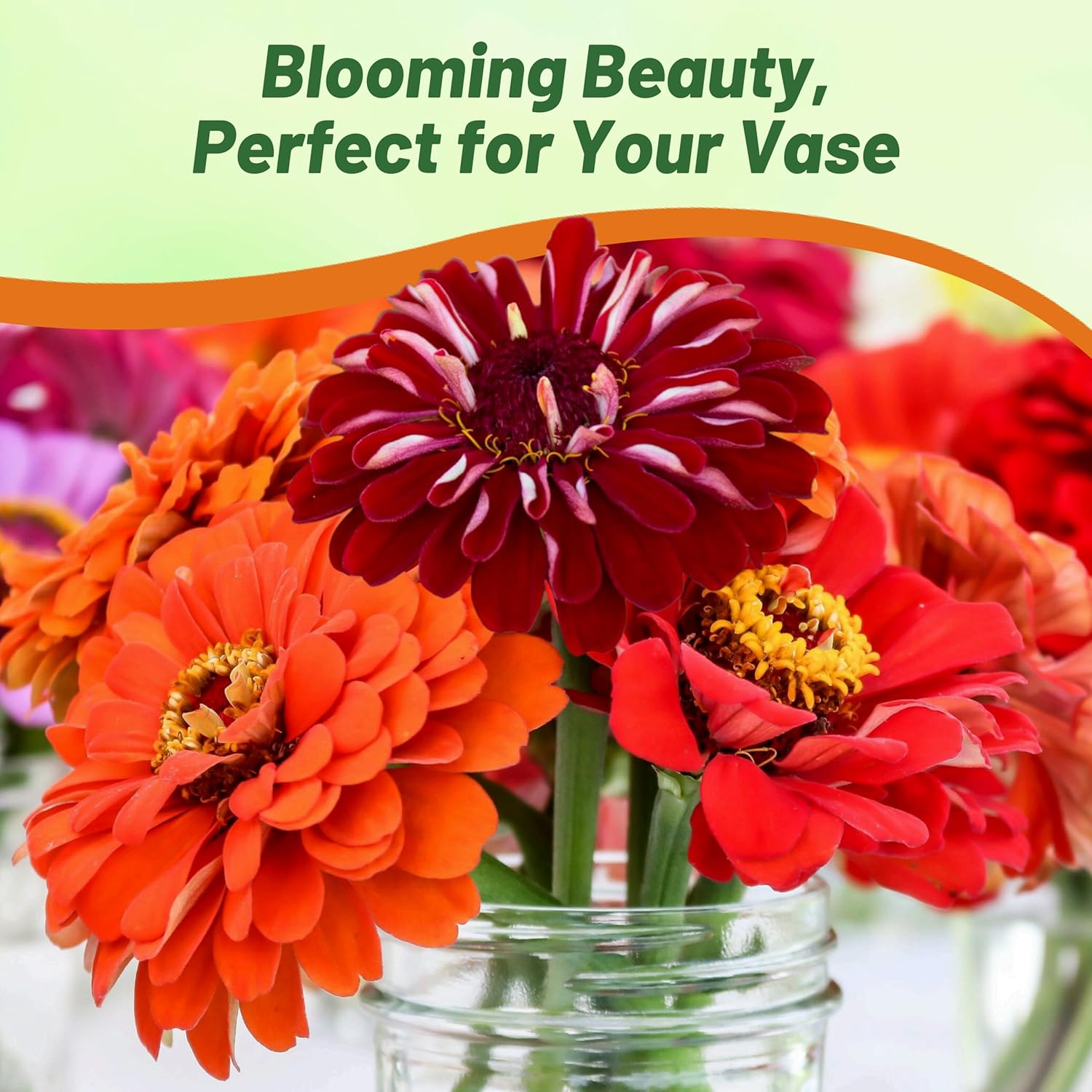 Zinnia Berry Tart Flower Mix