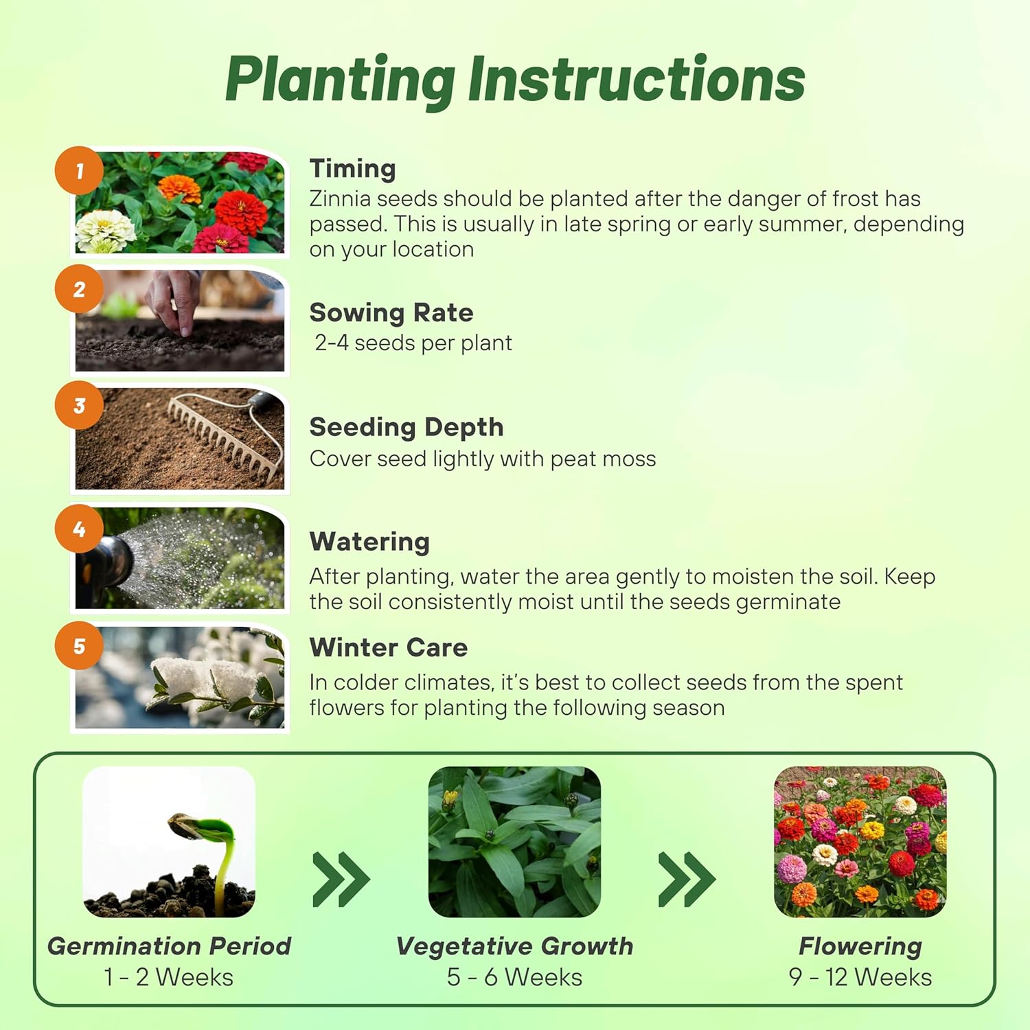 Zinnia Candy Plant Seed Mix