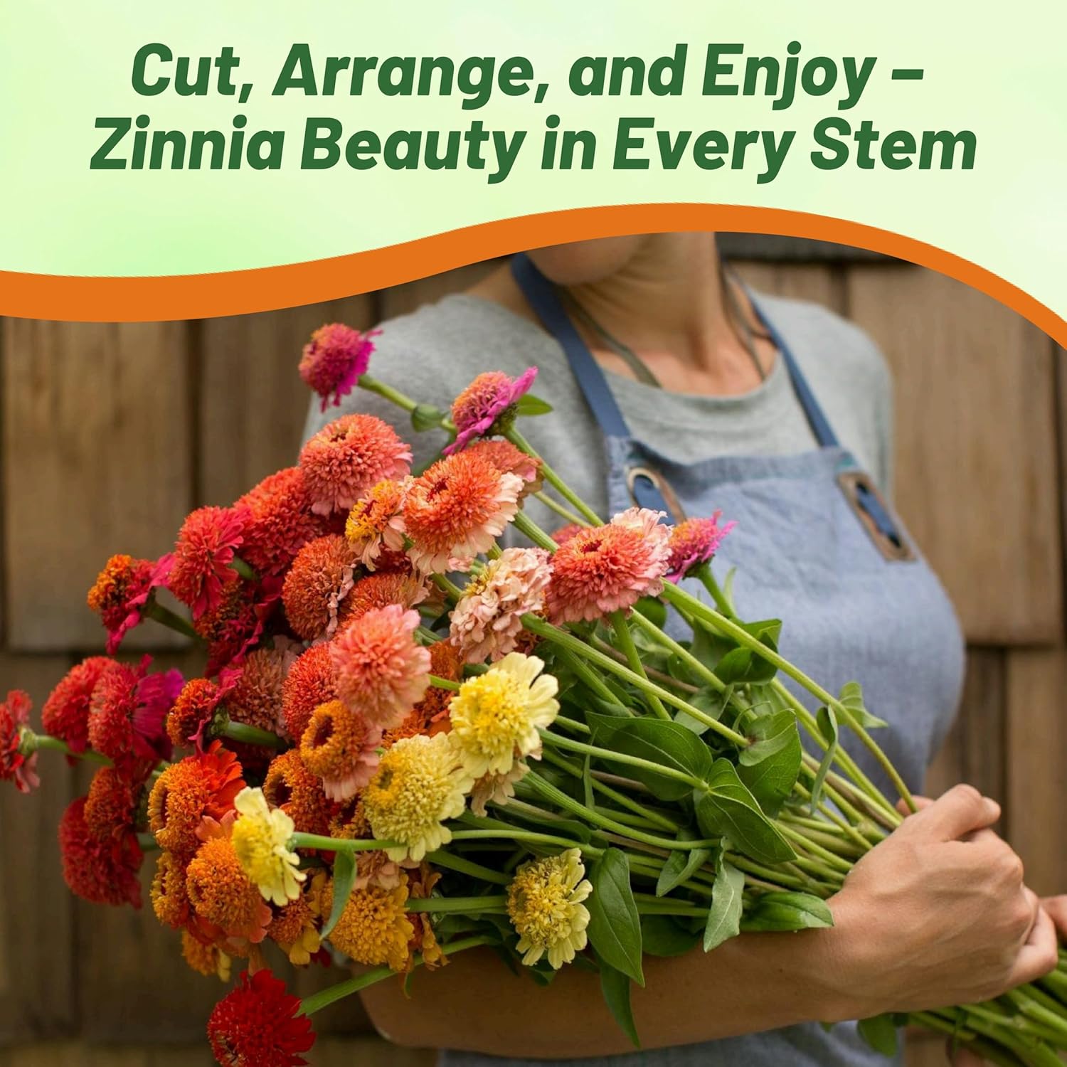 Zinnia Candy Garden Flower Seed Mix
