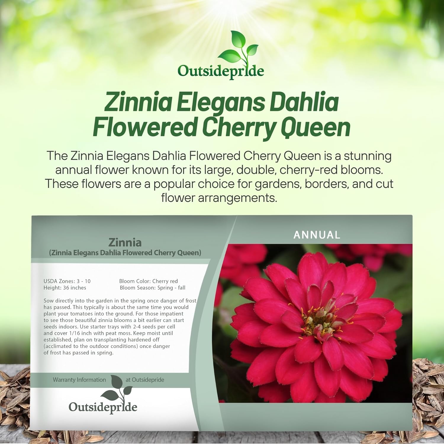Zinnia Cherry Queen Seed Packet