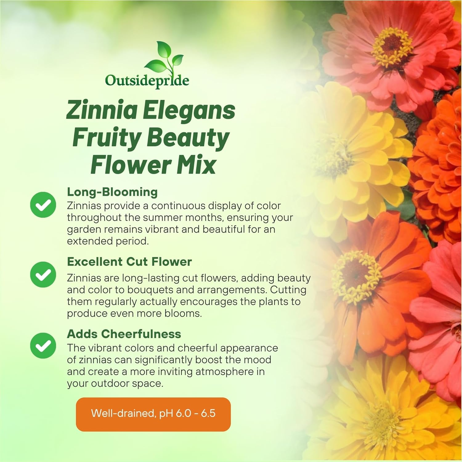 Zinnia Fruity Beauty Flower Mix