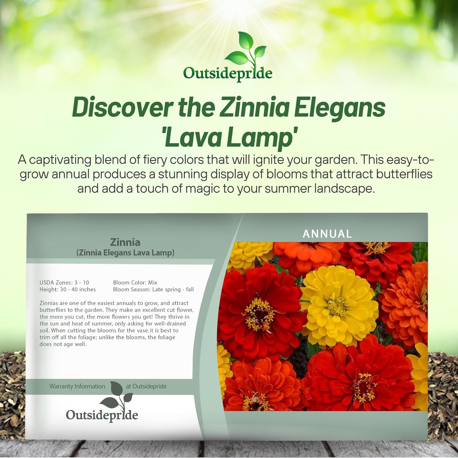 Zinnia Lava Lamp Seed Packet