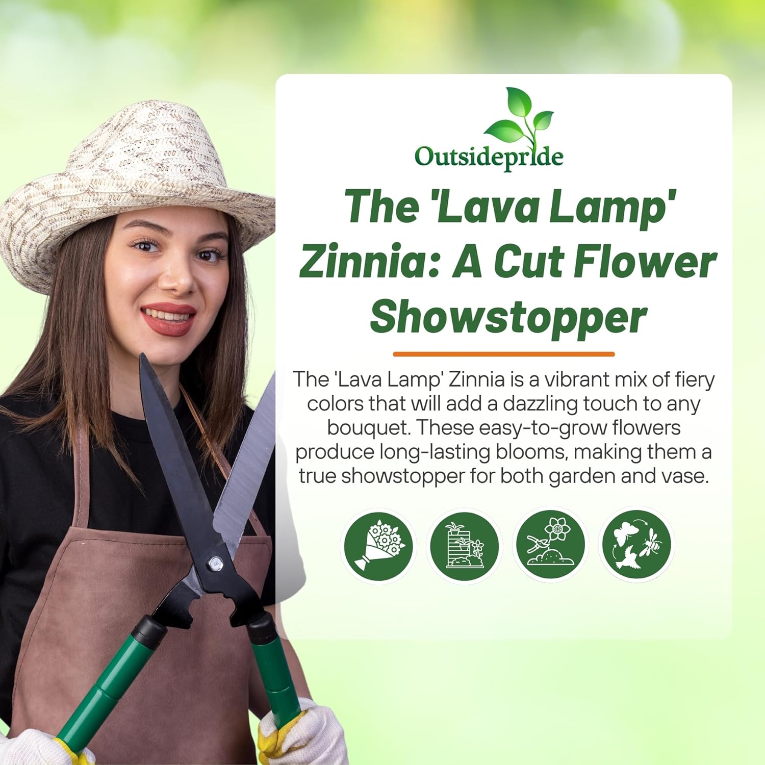 Zinnia Lava Lamp Flower Mix