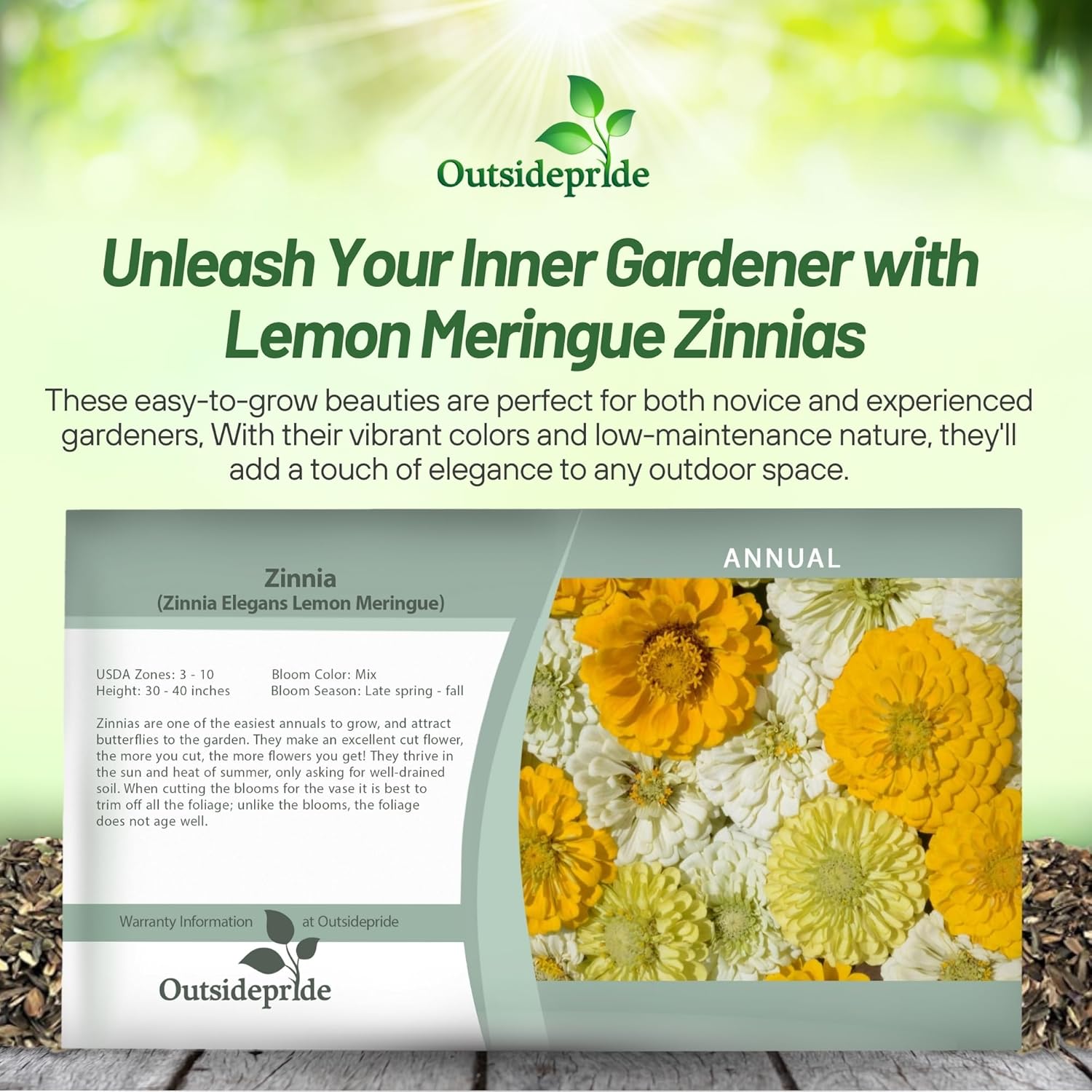 Zinnia Lemon Meringue Seed Packet