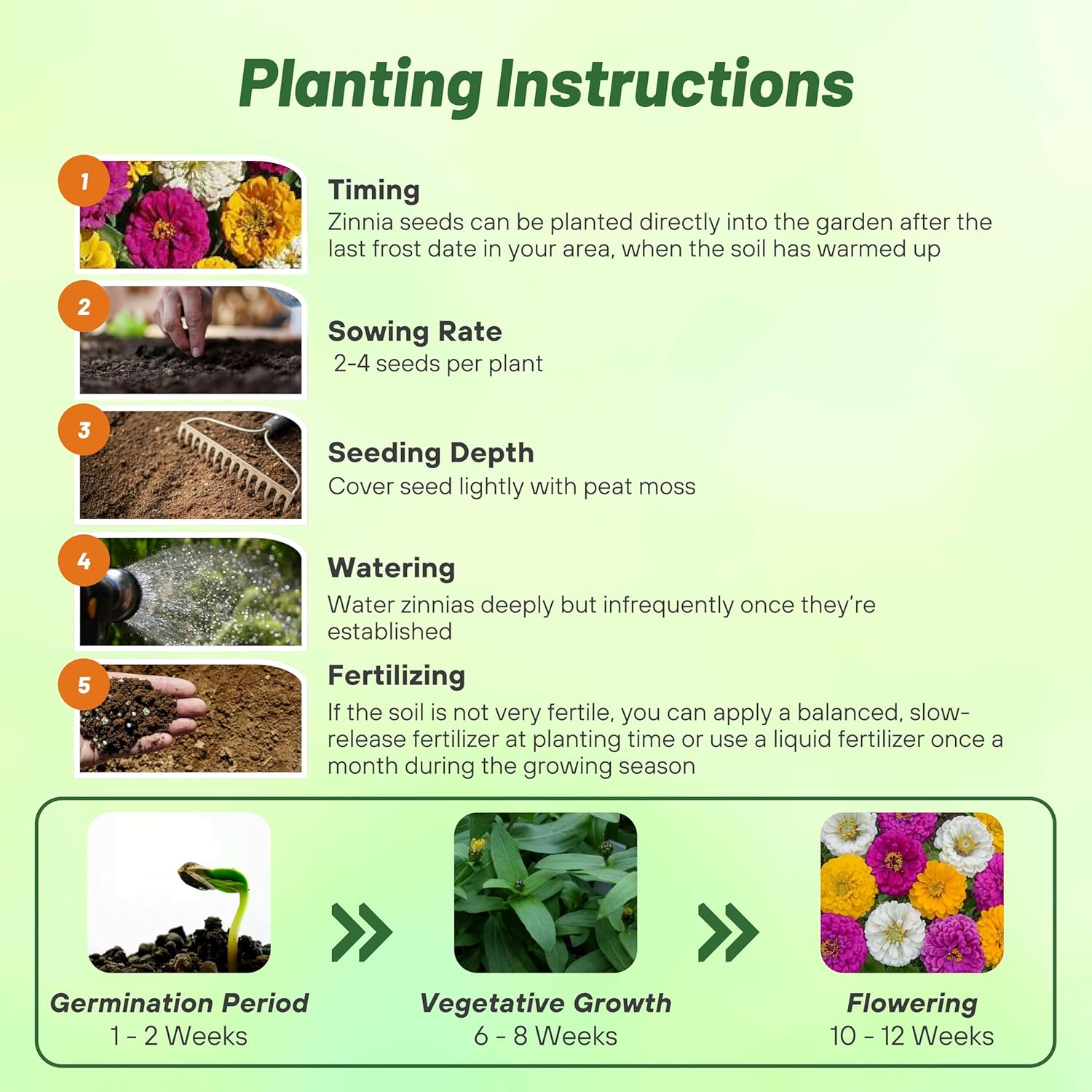 Zinnia Flower Mardi Gras Planting Directions