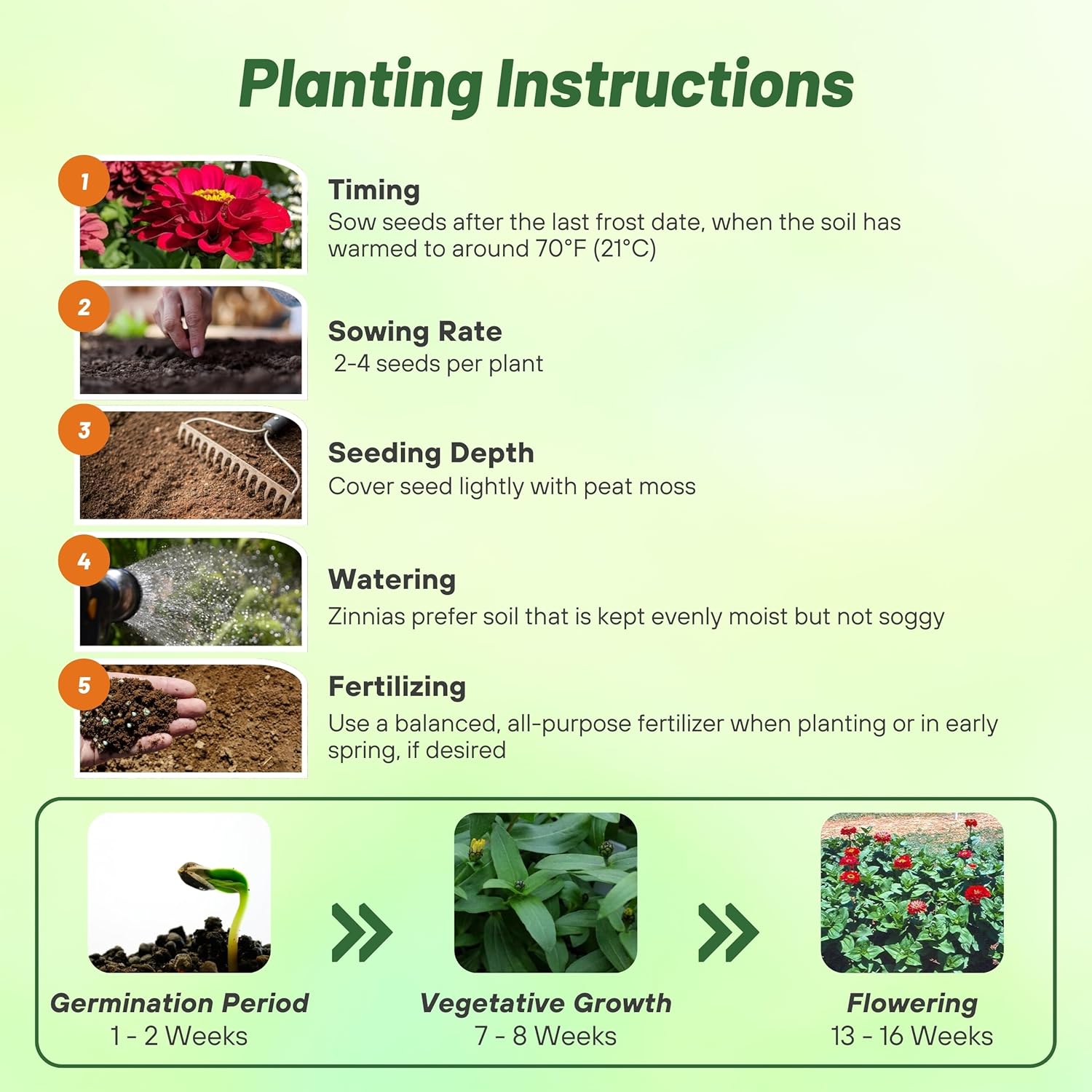 Zinnia Flowered Meteor Planting Directions