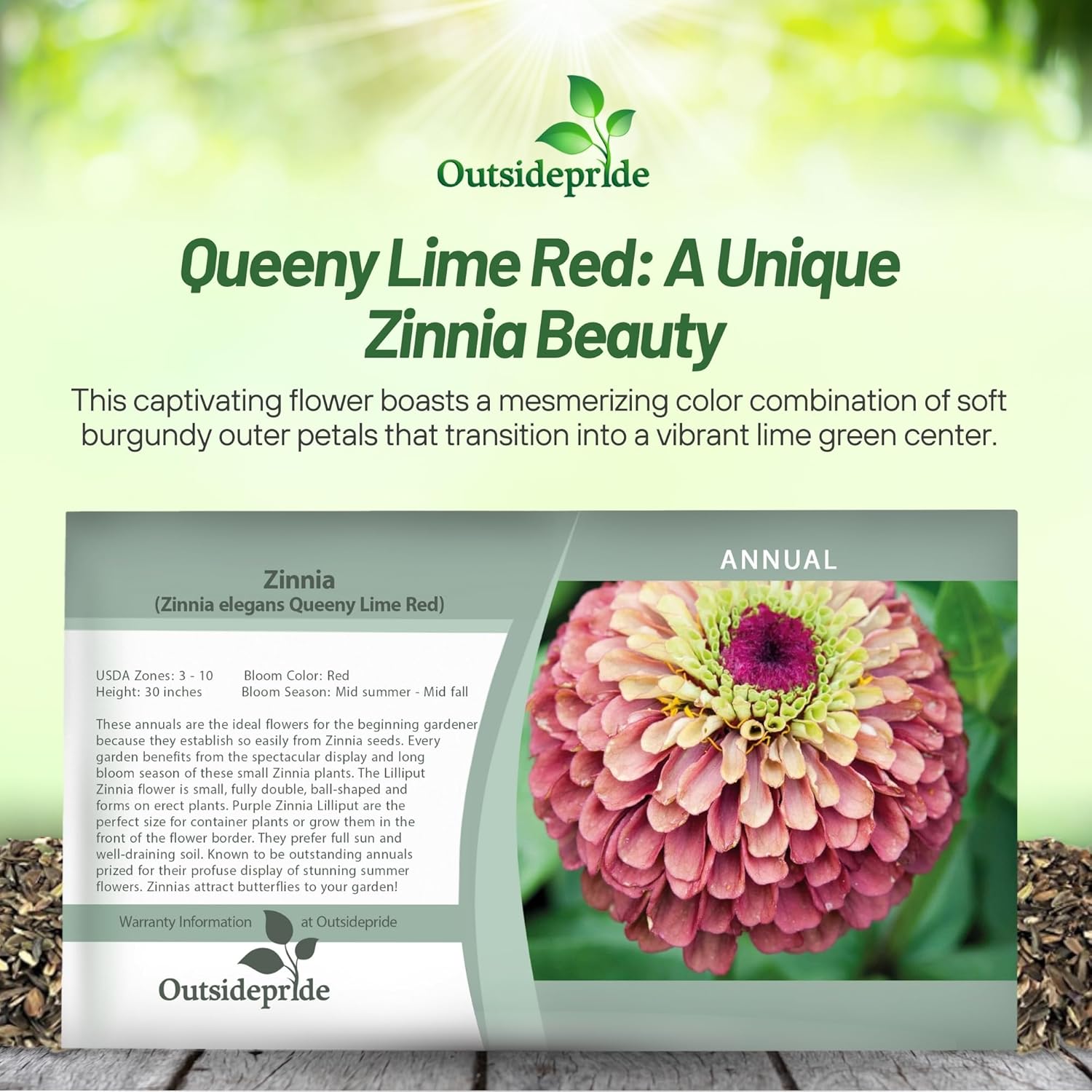 Zinnia Elegans Queeny Lime Red Seed Packet