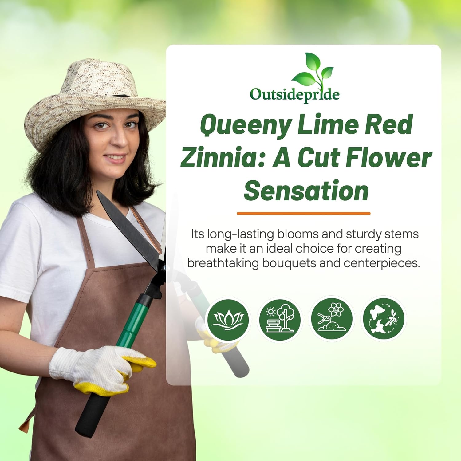 Zinnia Queeny Lime Red Flowers
