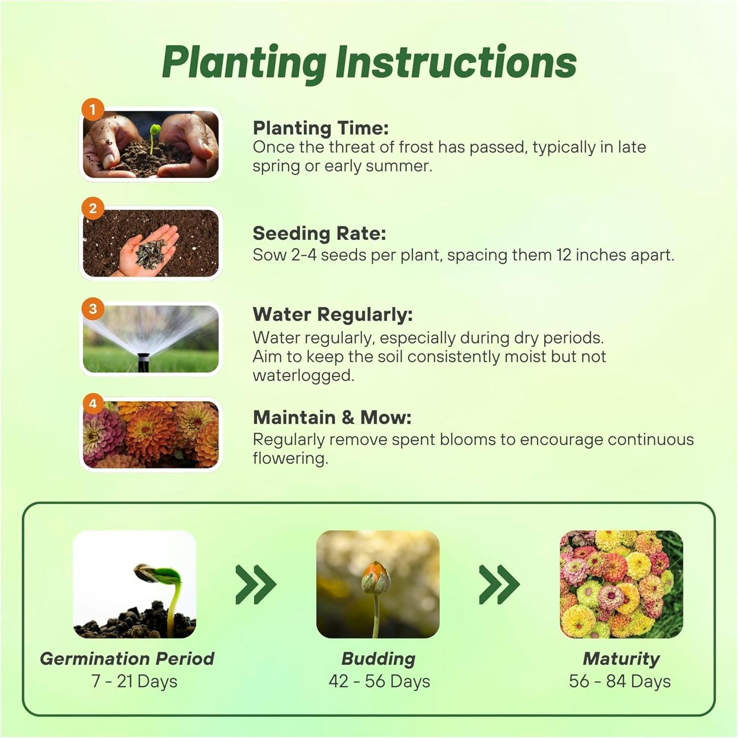Zinnia Queeny Mix Planting Directions