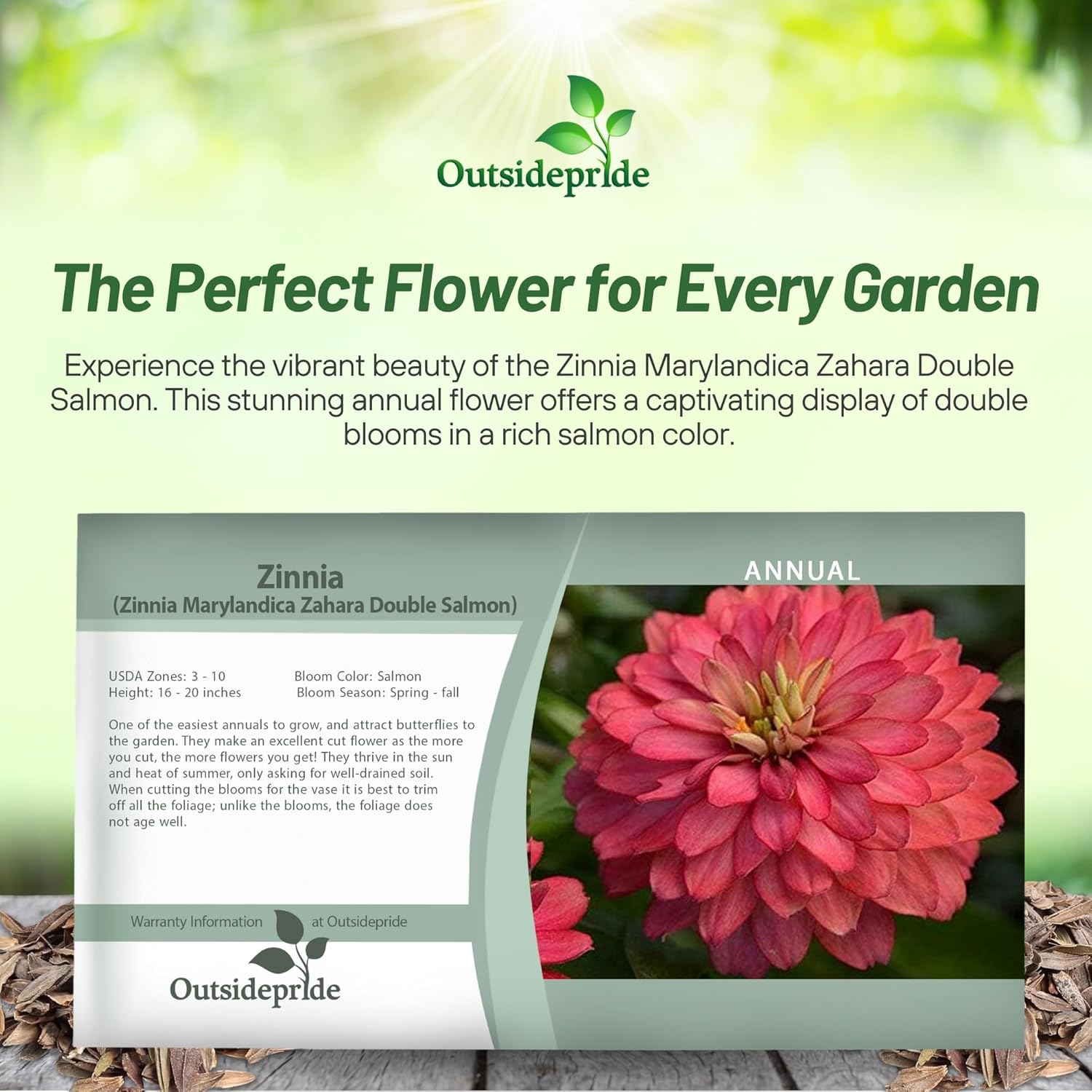 Zinnia Zahara Double Salmon Seed Packet