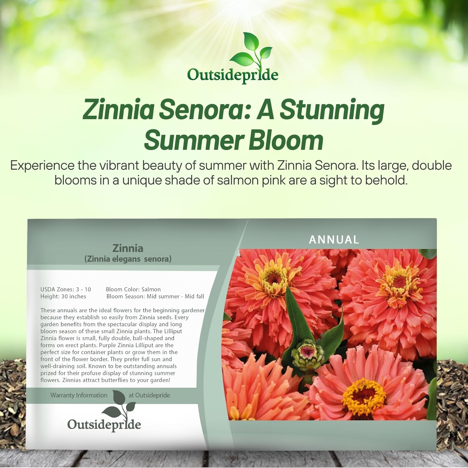Zinnia Senora Seed Packet