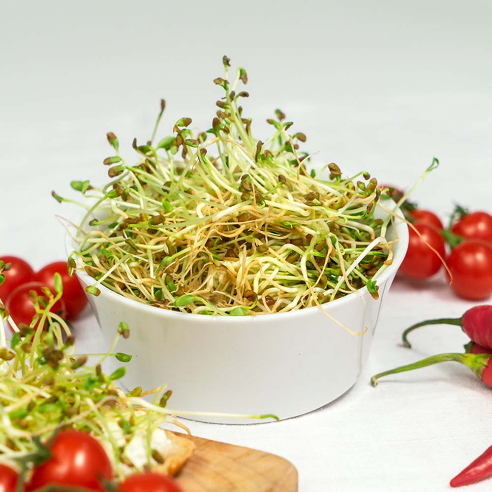 flower seeds