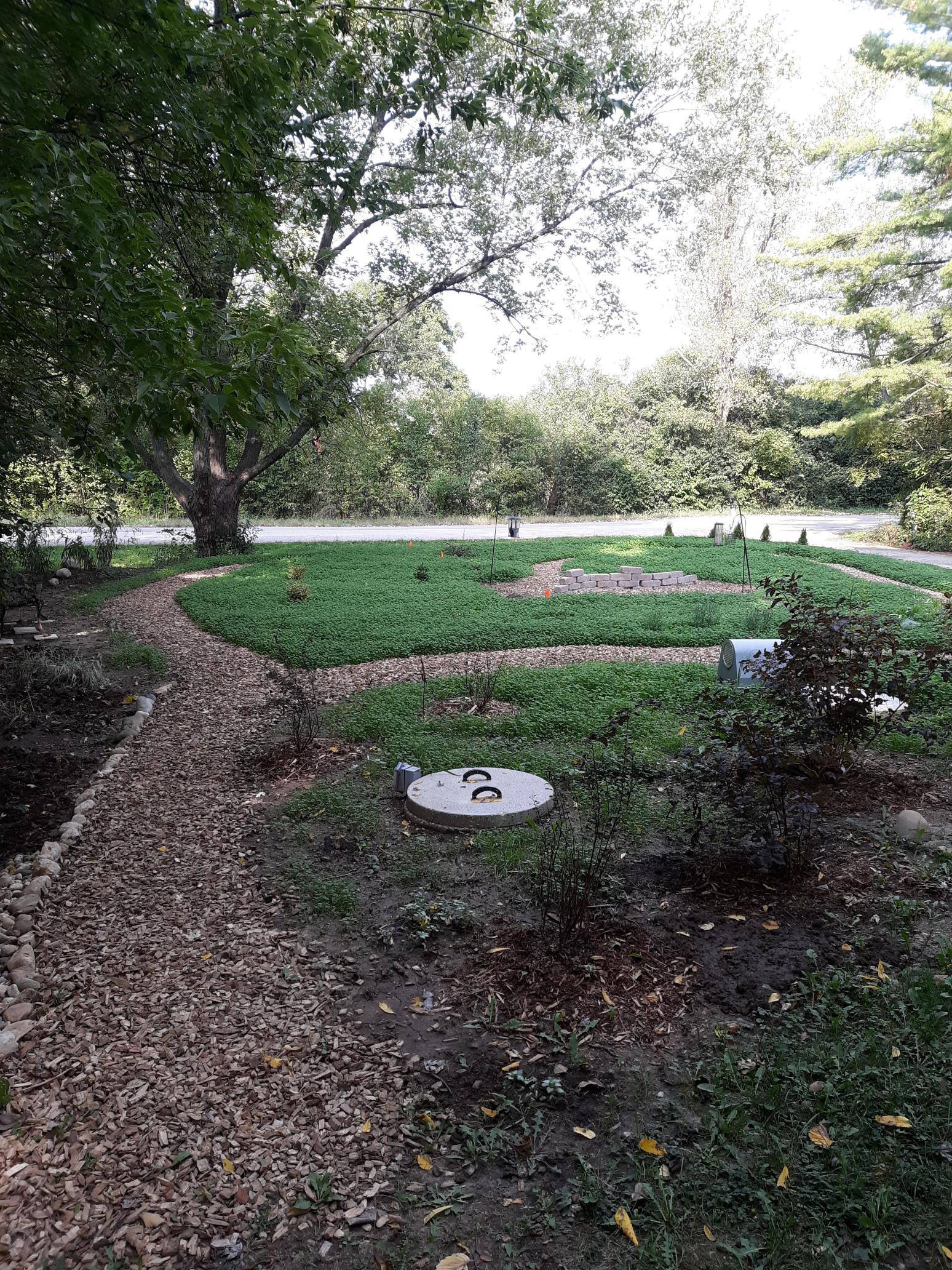 Preparing soil for a clover lawn