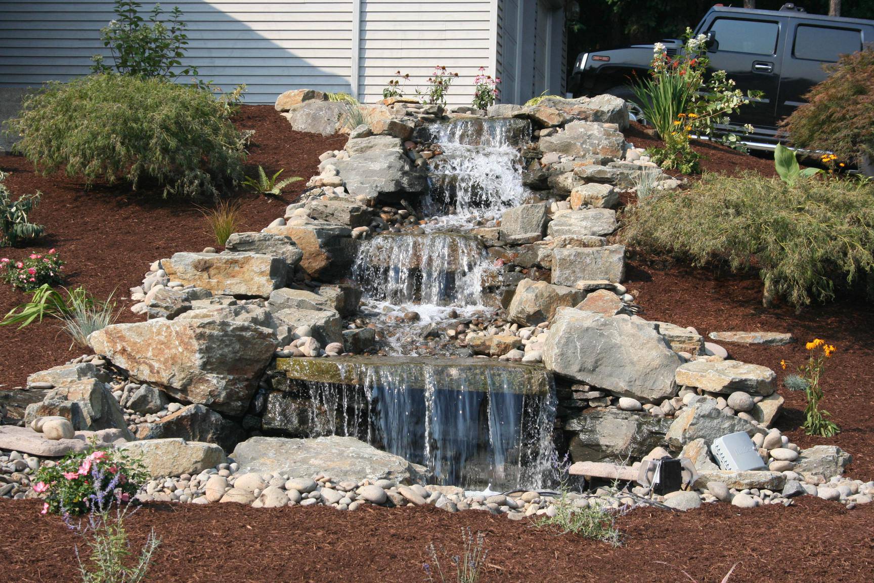 Well-watered clover and grass landscape