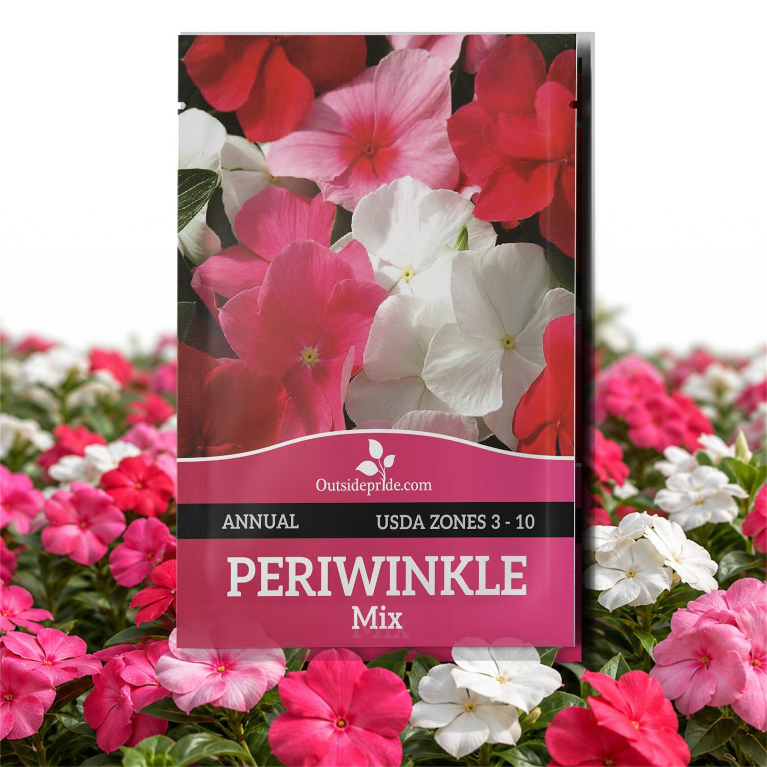 Periwinkle Groundcover Seed Packet